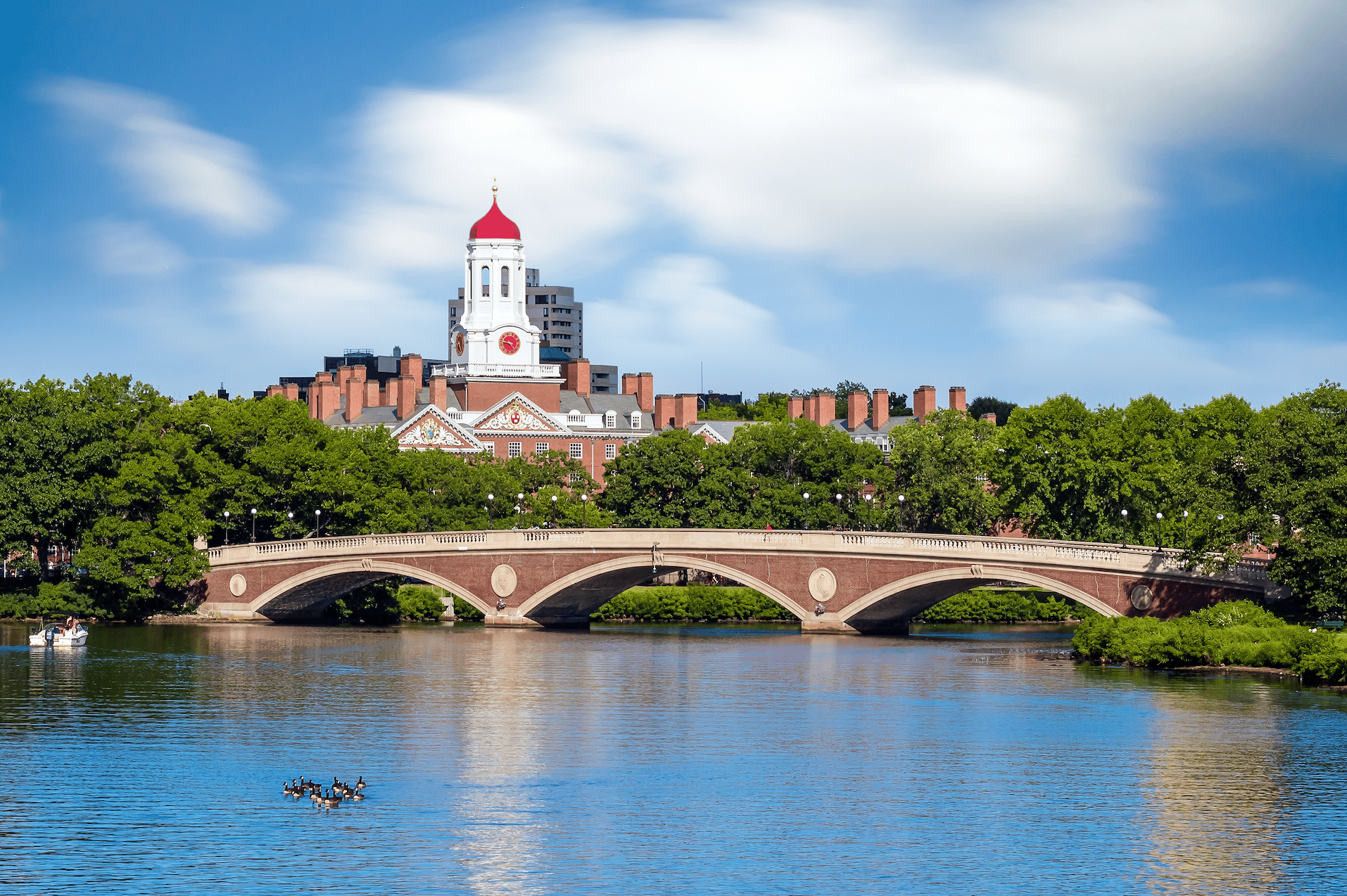 #1. Harvard University