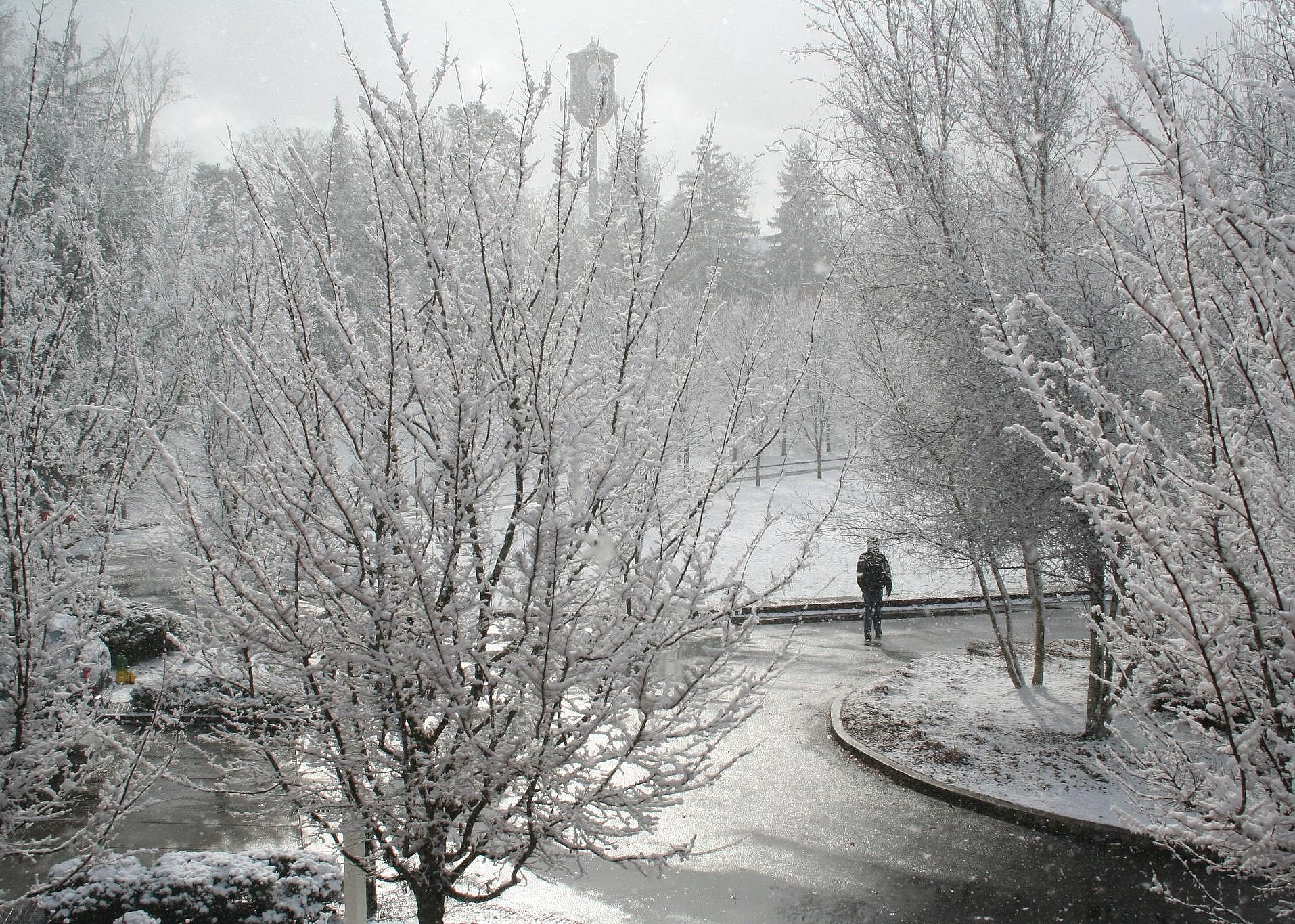 #63. Asheville, North Carolina
