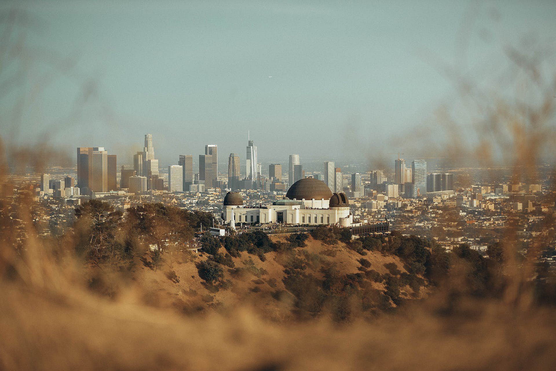 View of Los Angeles with Griffith Observatory in foreground