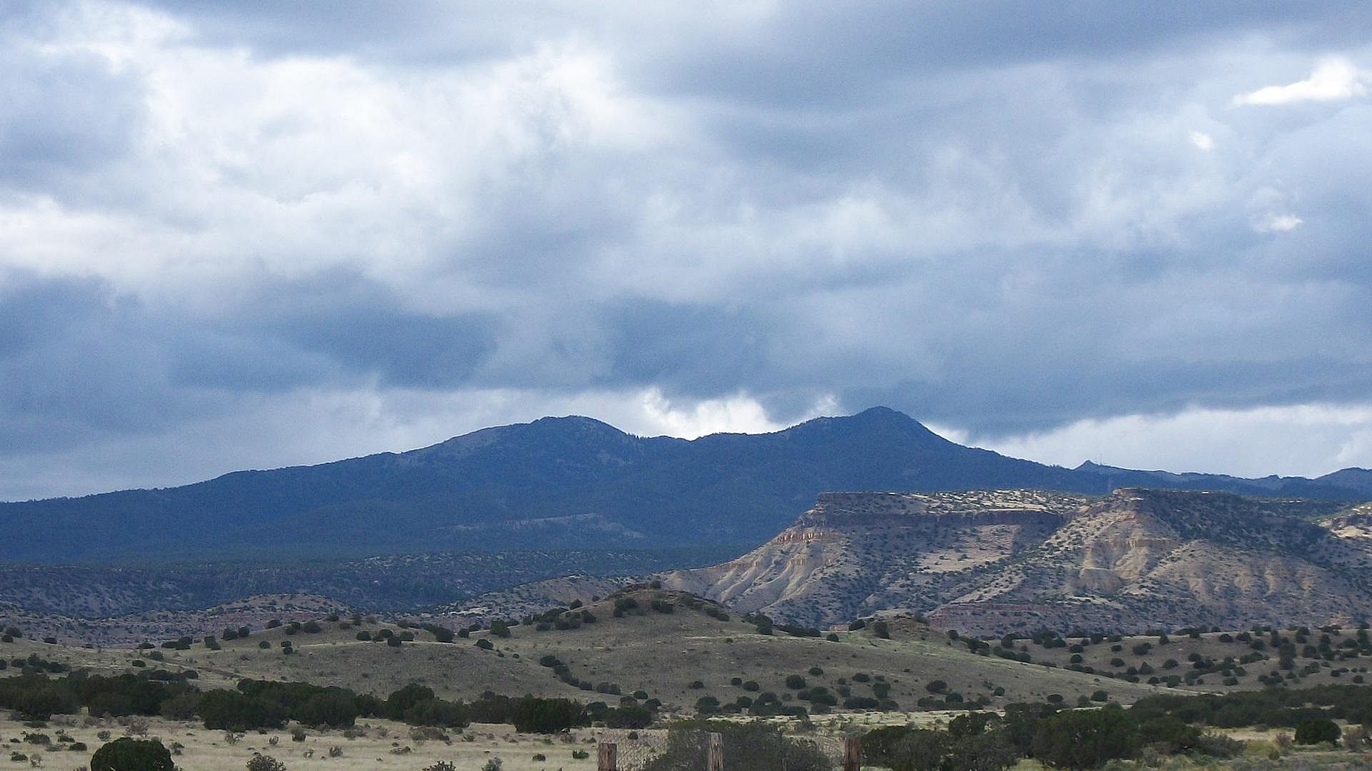 #43. New Mexico
