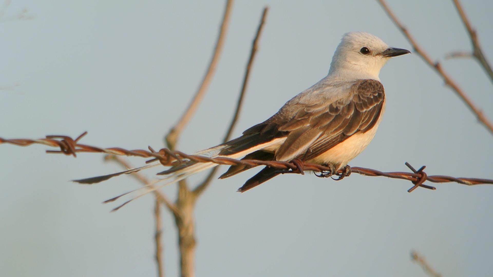 Oklahoma