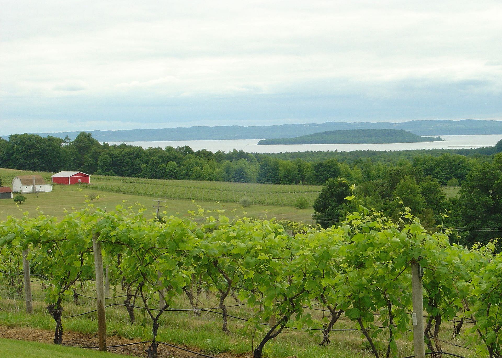 #41. Grand Traverse County