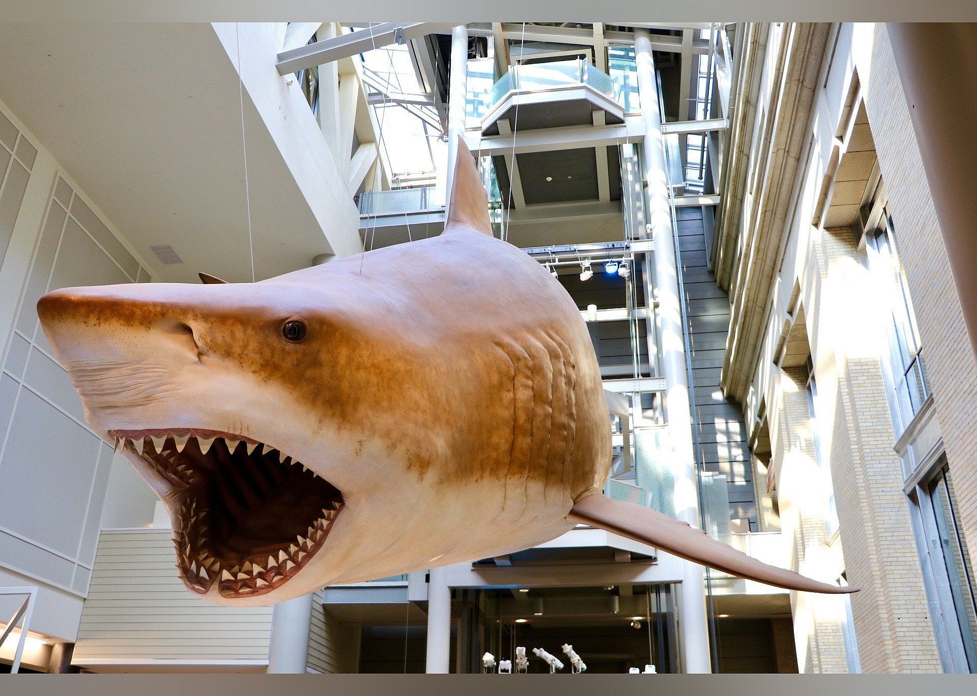 #1. Smithsonian National Museum of Natural History