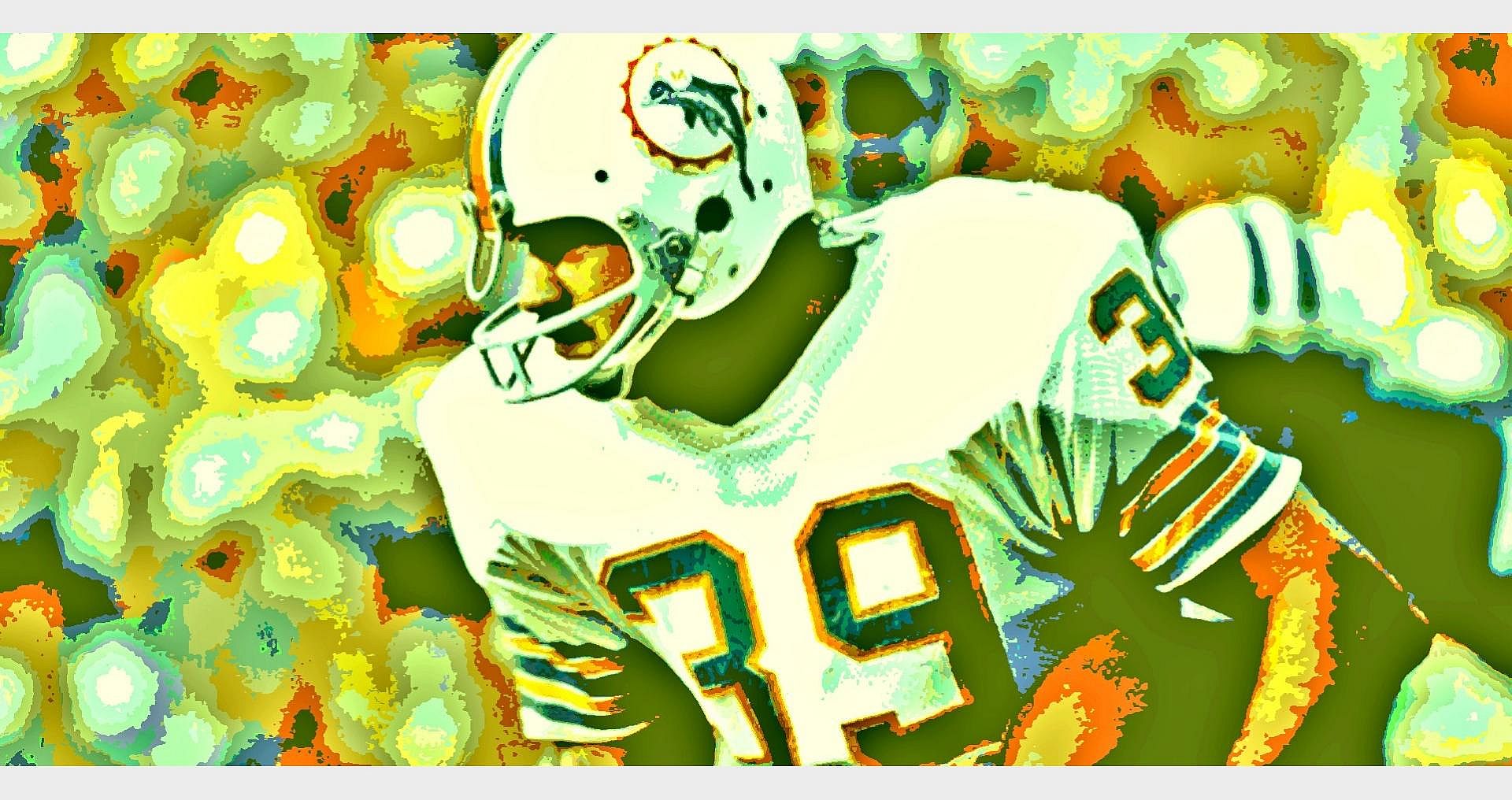 Super Bowl VIII: Miami Dolphins