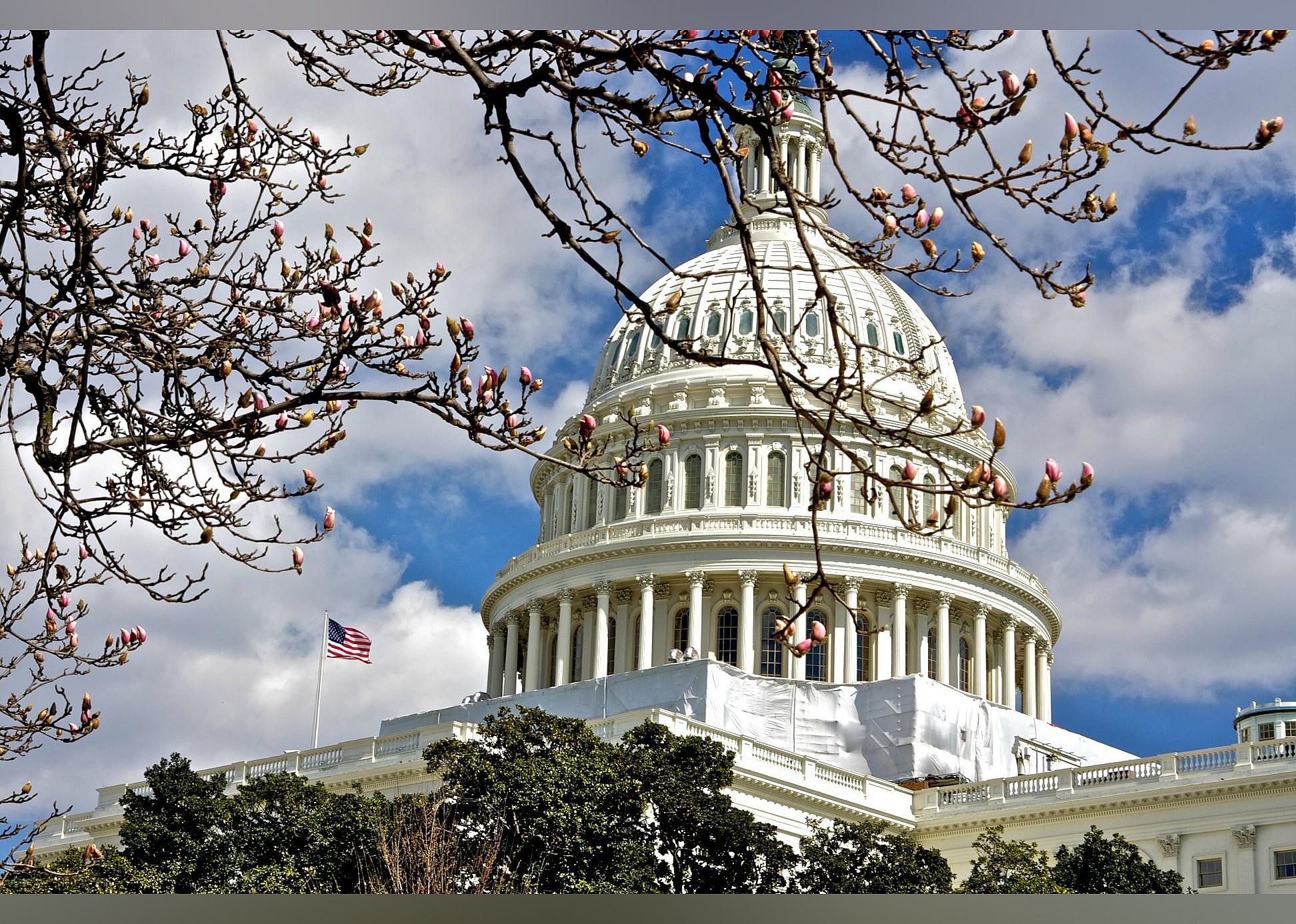 #7. U.S. Capitol