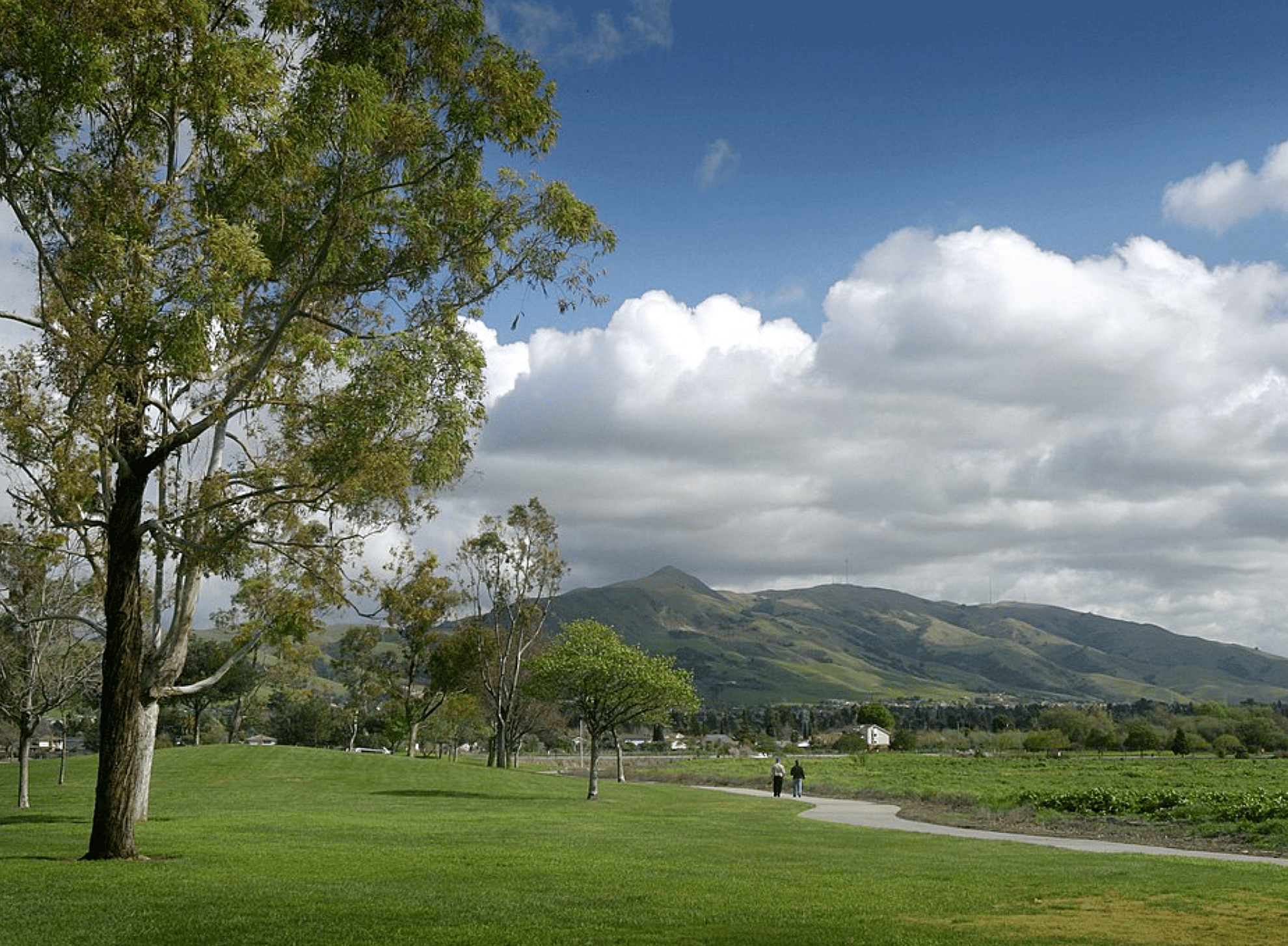 #46.  Fremont, California