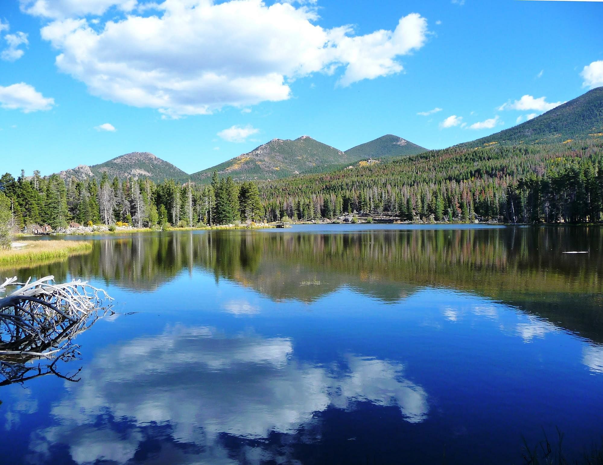 #10. Colorado