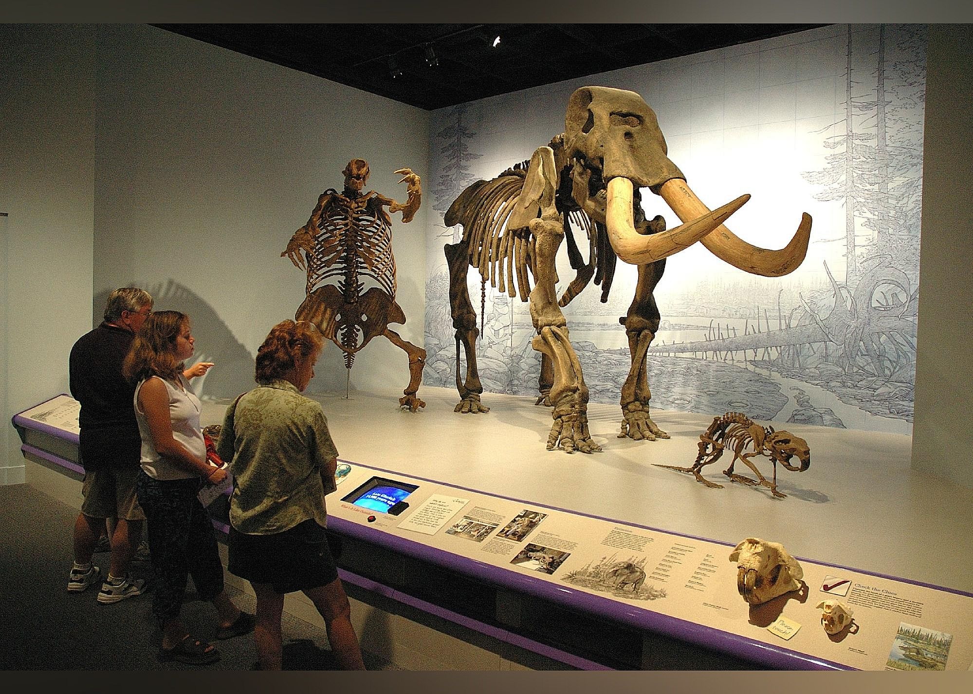 #23. Illinois State Museum