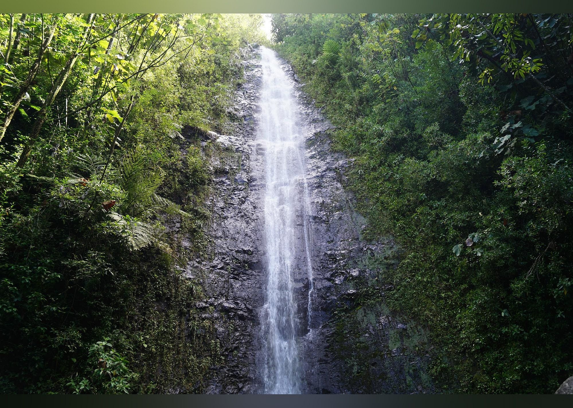 #7. Manoa Falls