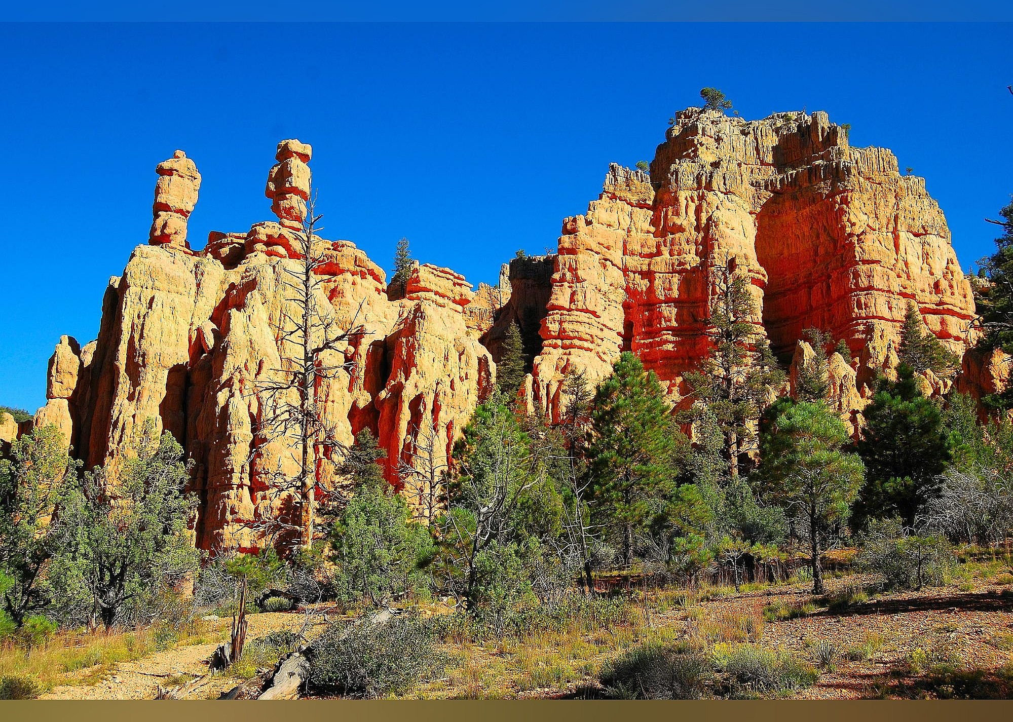 #26. Red Canyon