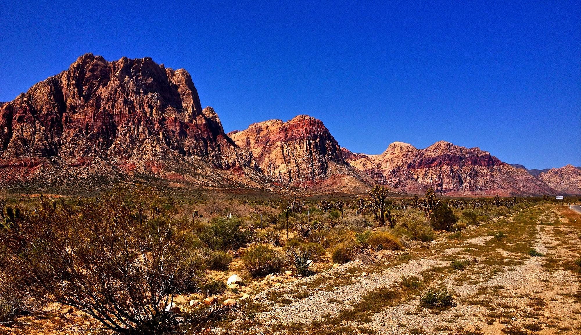 #29. Nevada