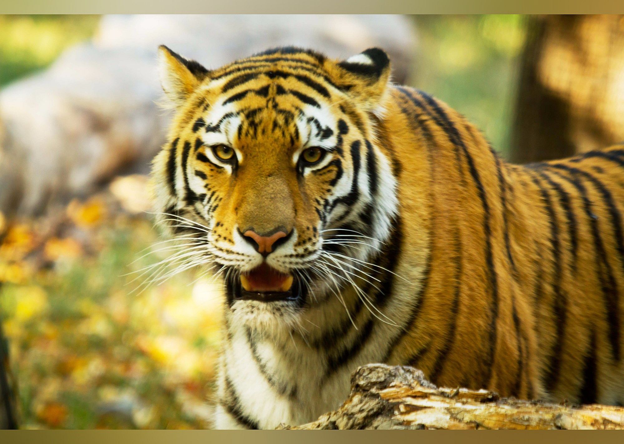 #11. Great Plains Zoo