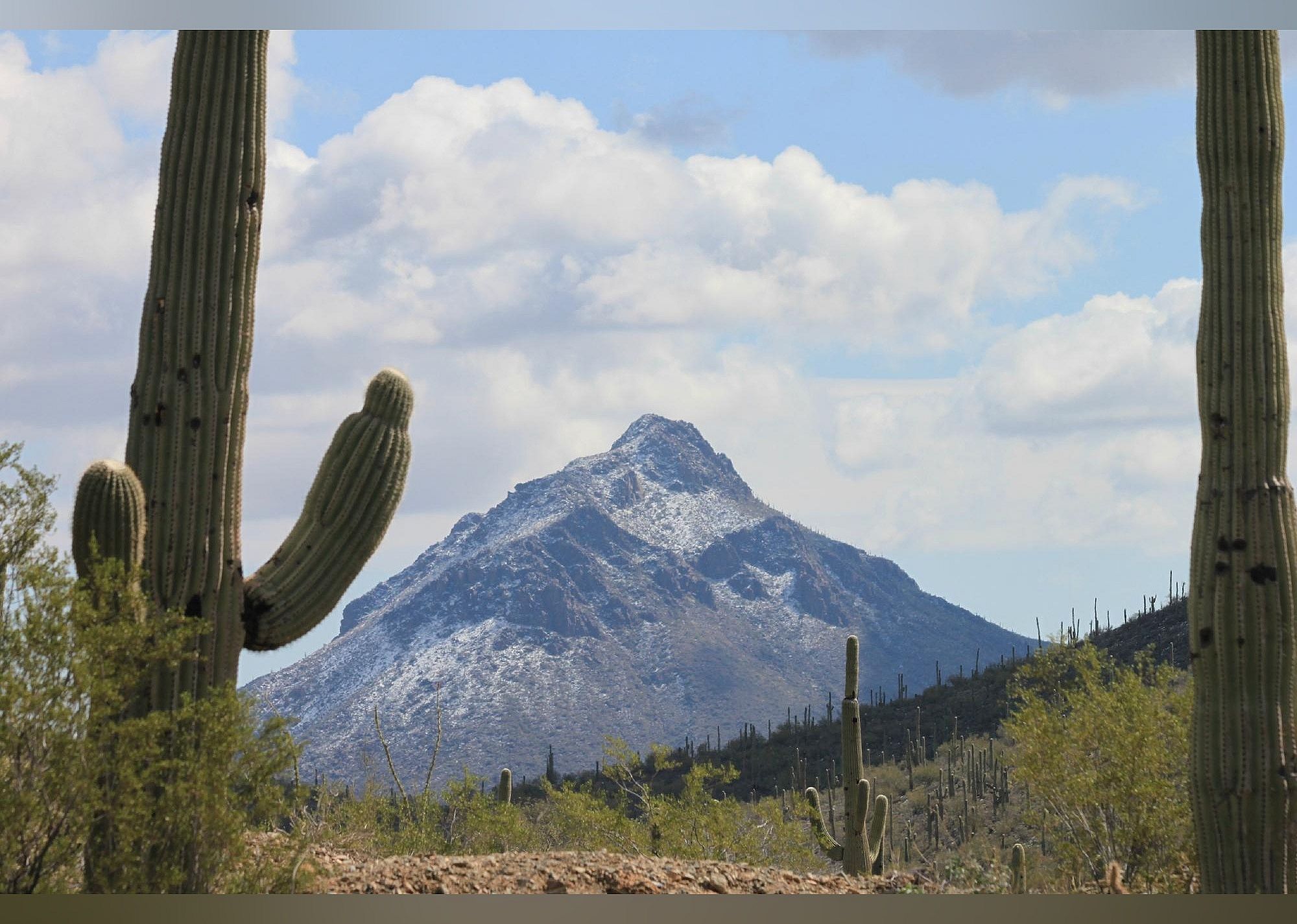 #11. Arizona-Sonora Desert Museum