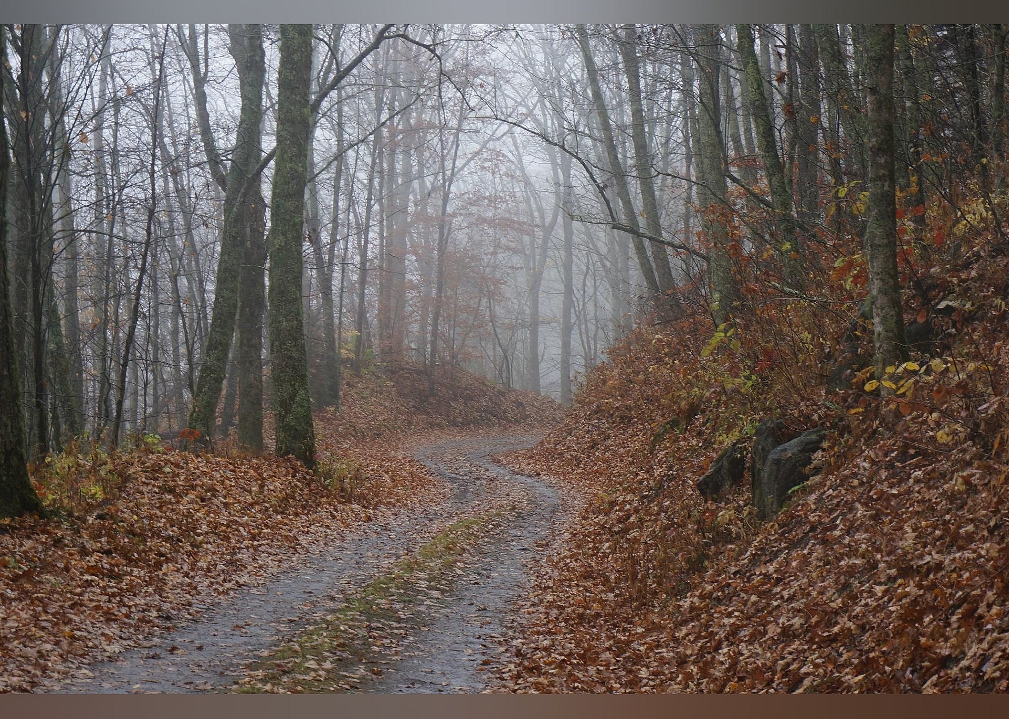 #10. Balsam Mountain Road