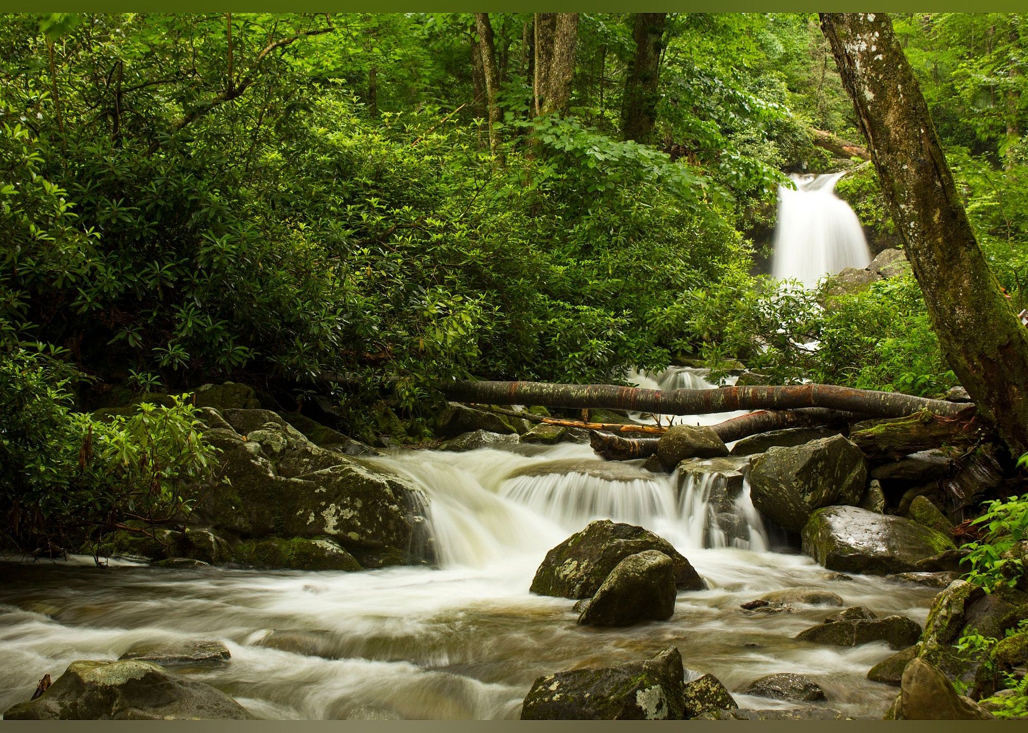 #27. Grotto Falls Trail