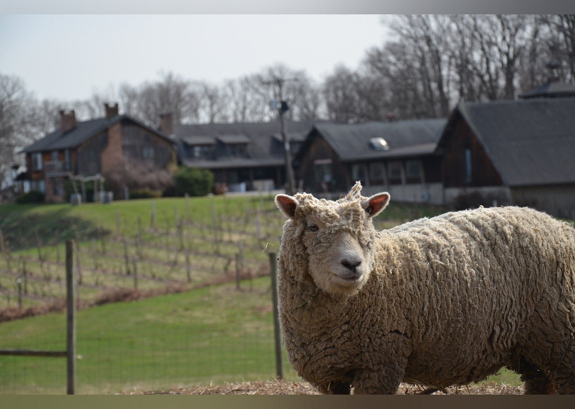 #19. Benmarl Vineyards and Winery