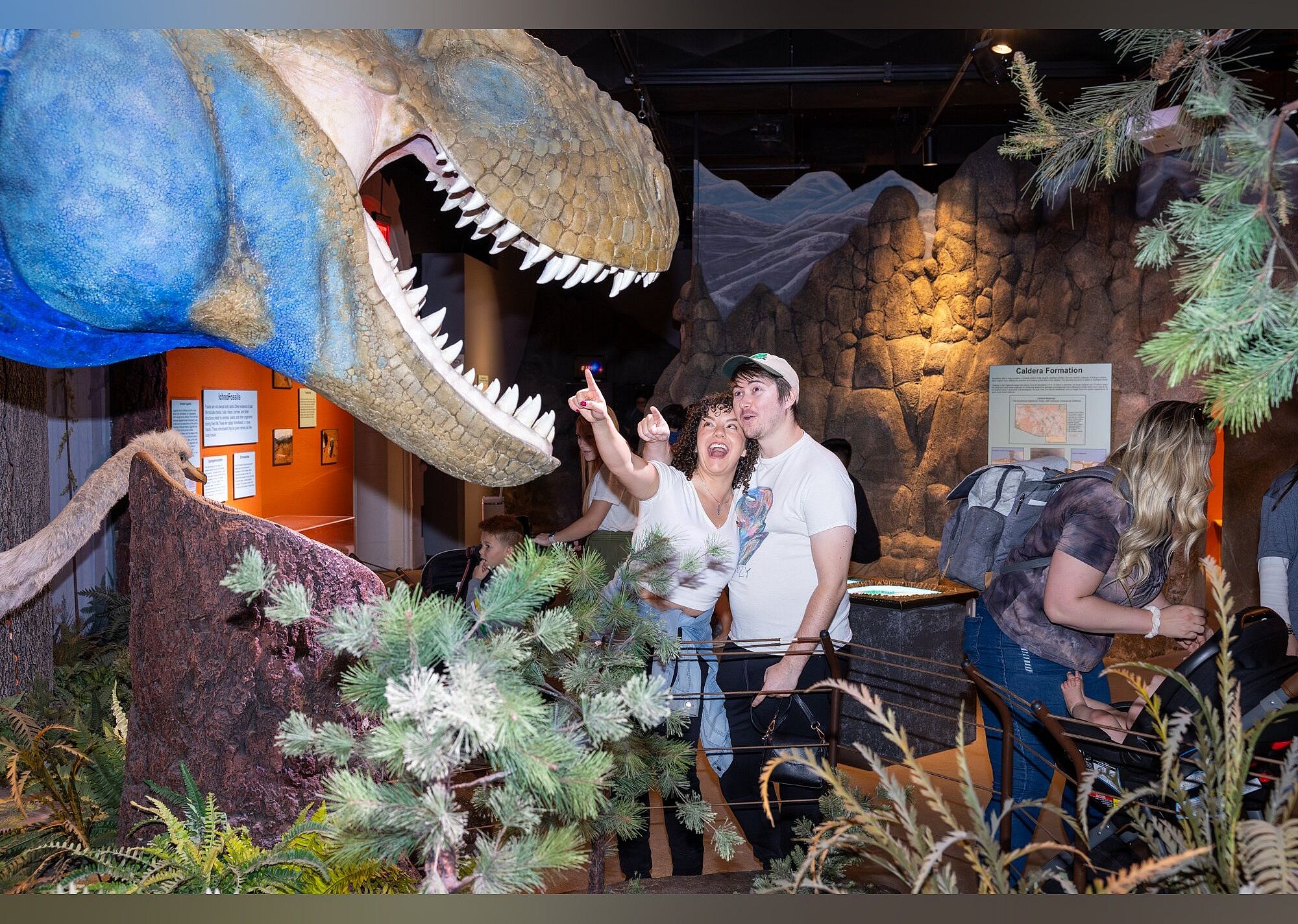 #9. Arizona Museum Of Natural History