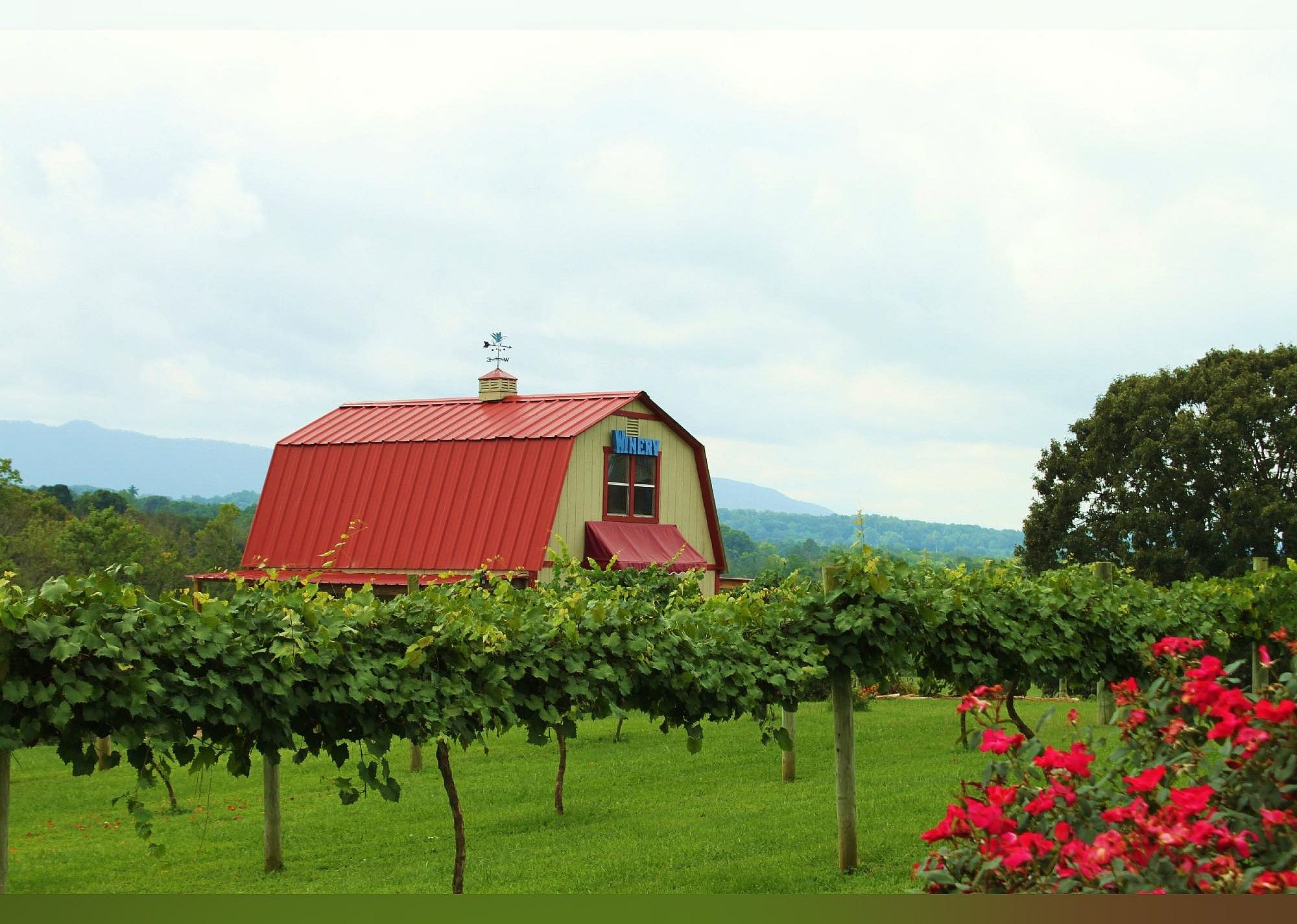 #9. Blue Goose Farm and Vineyards