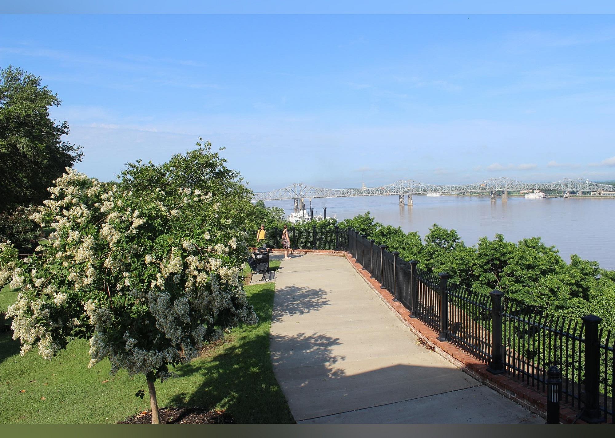 #25. Bluff Park