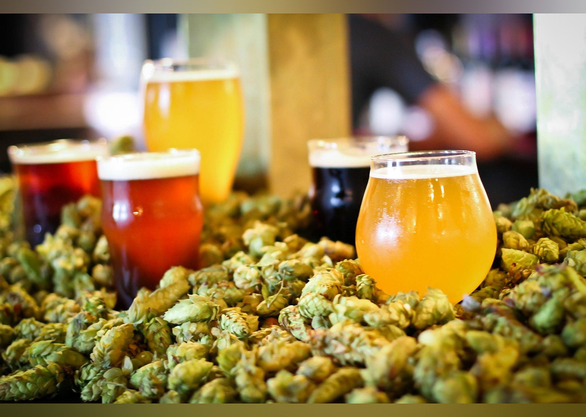 #21. B.O.B.'s Brewery