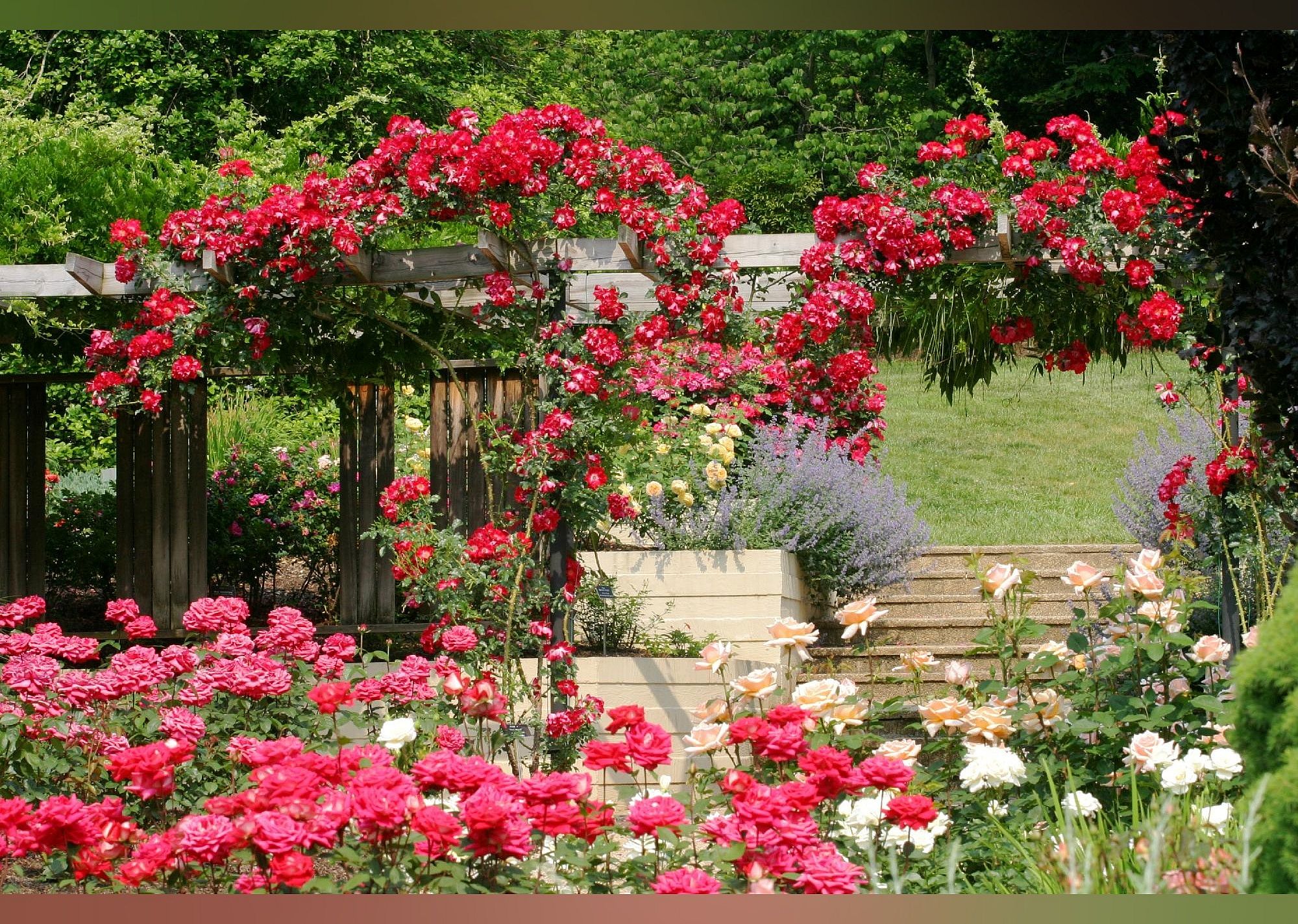 #15. Brookside Gardens