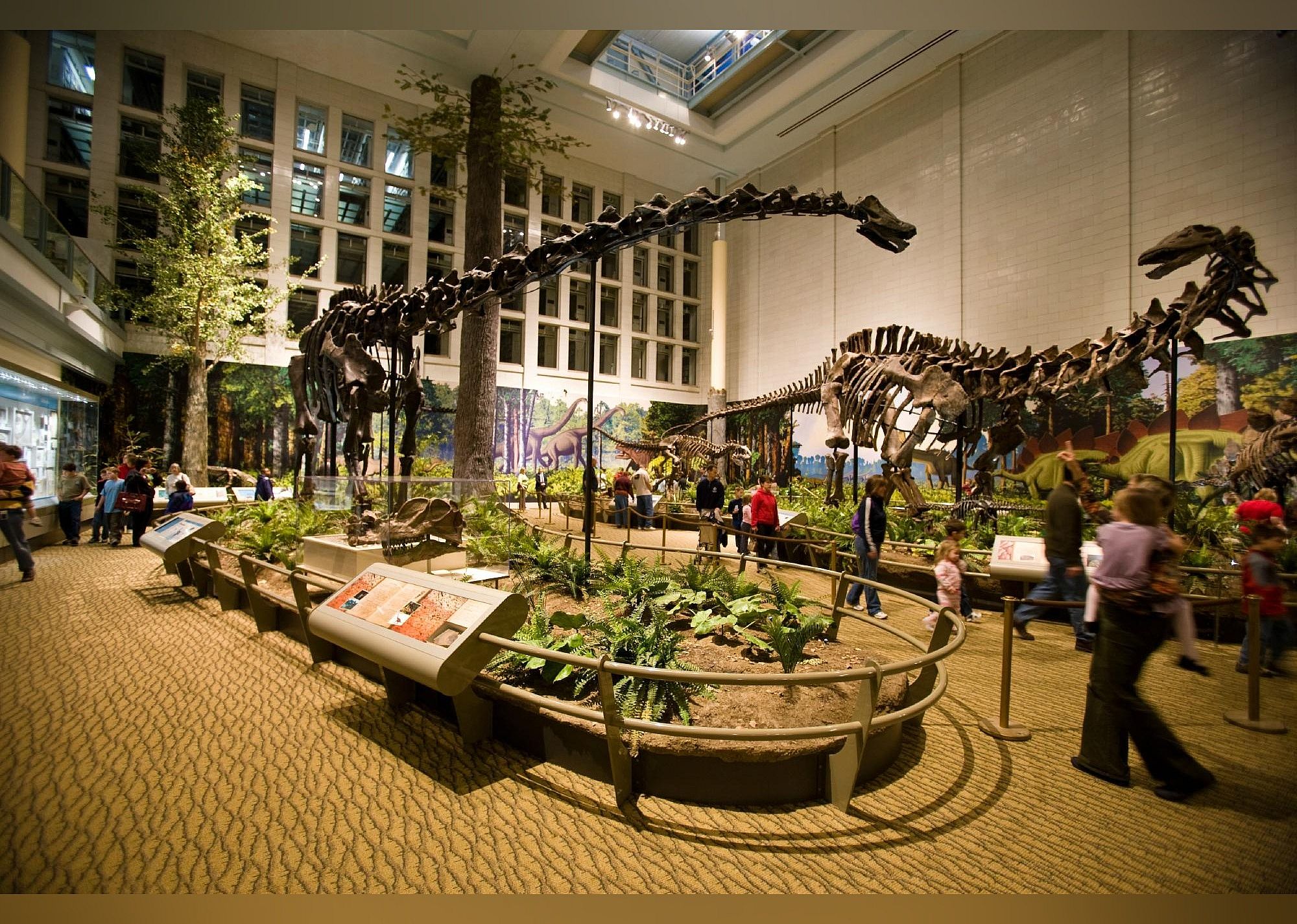 #7. Carnegie Museum Of Natural History