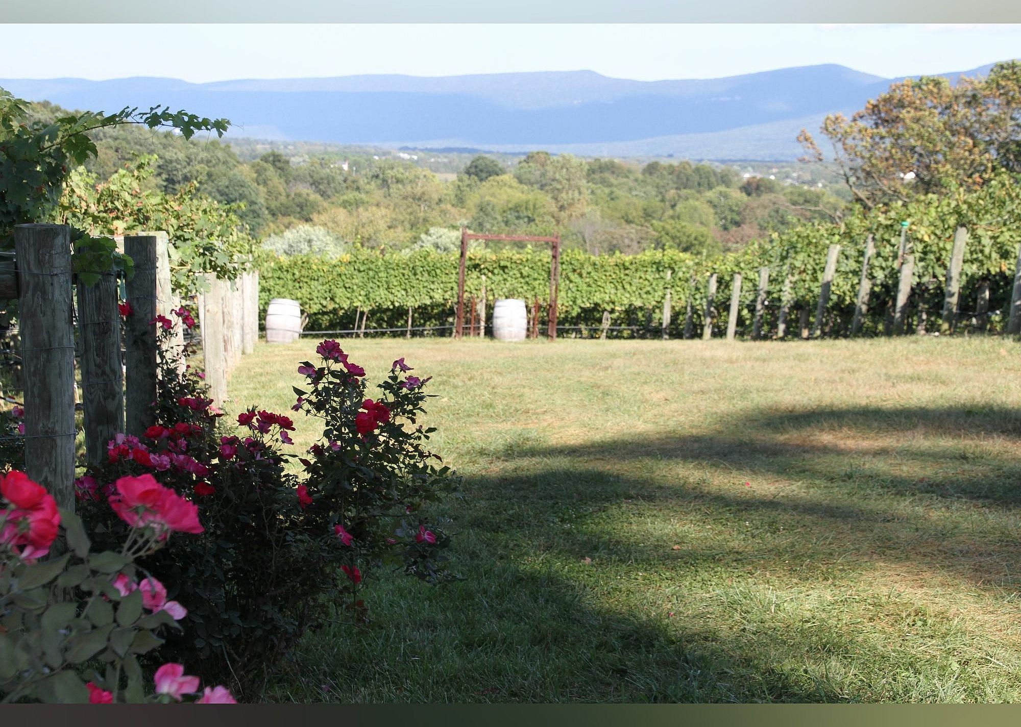 #27. Cave Ridge Vineyard