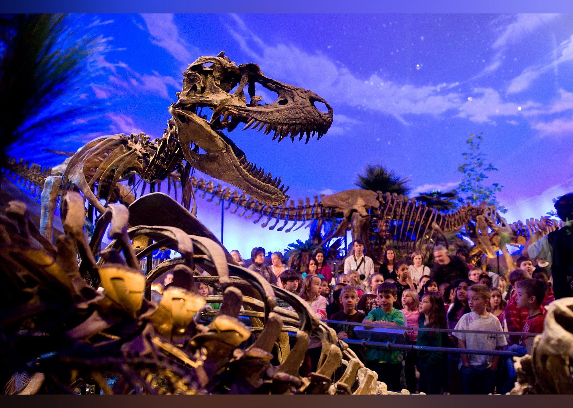 #2. Children's Museum of Indianapolis