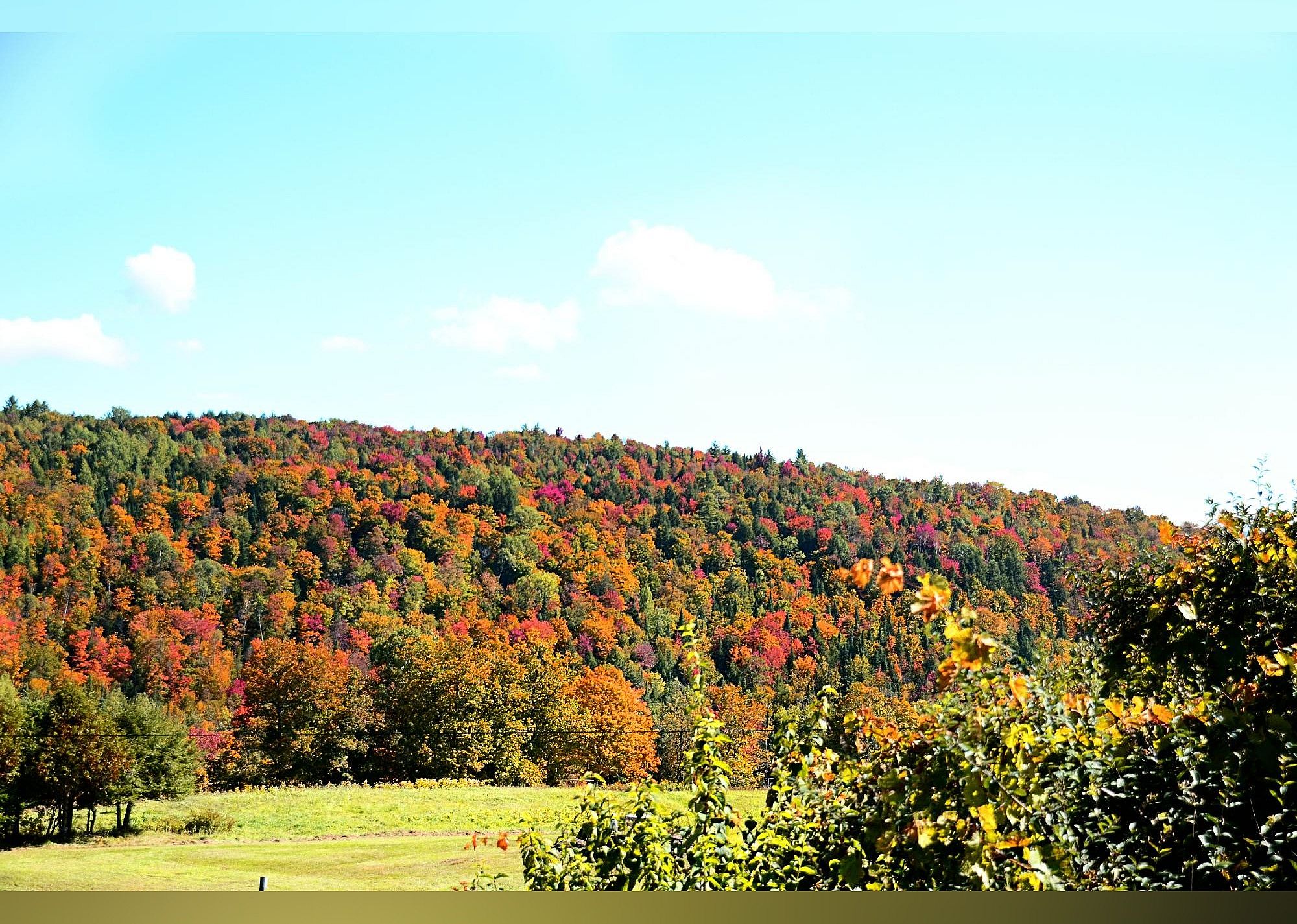 #19. Dog Mountain Home of Stephen Huneck Gallery