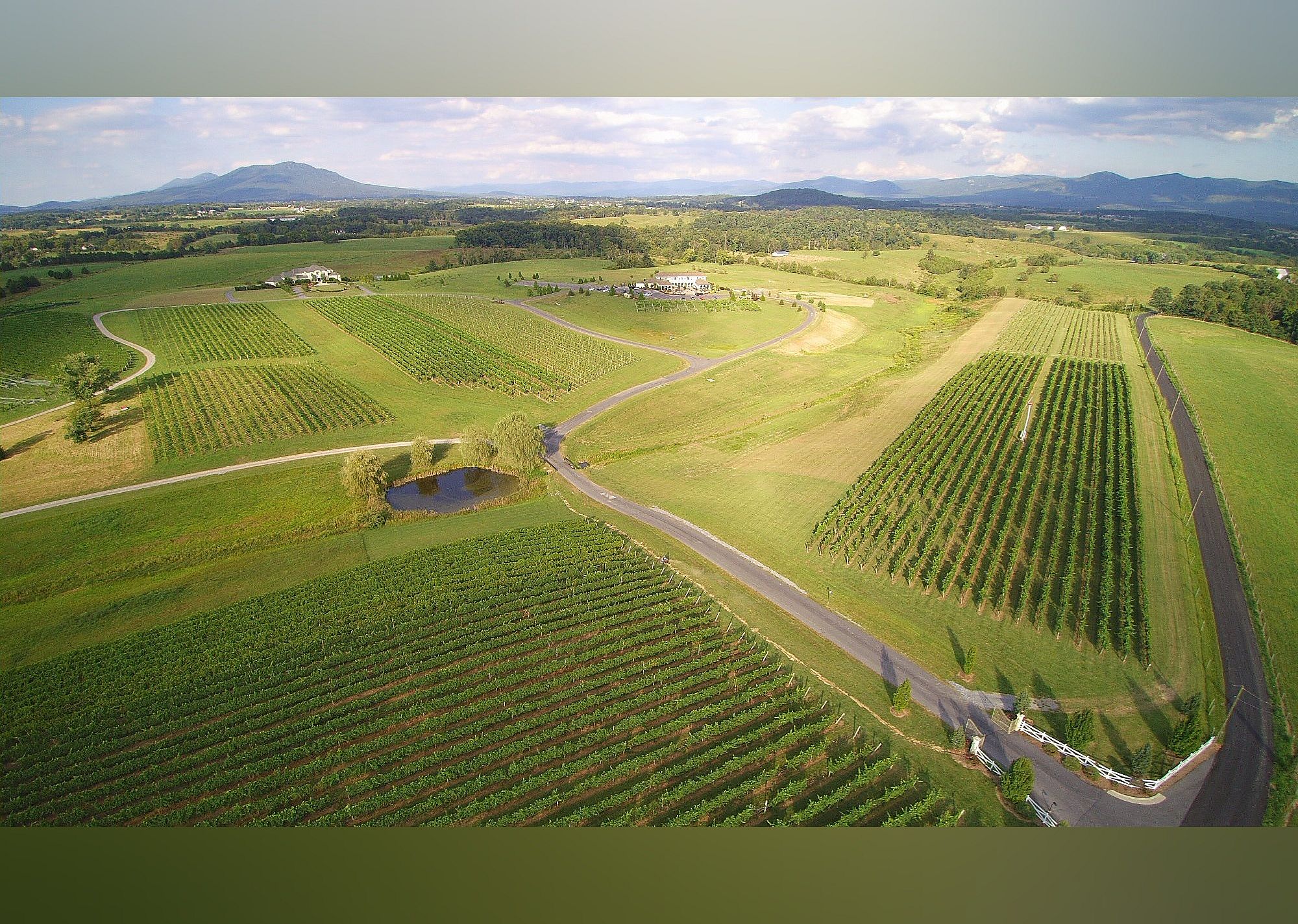 #20. CrossKeys Vineyards