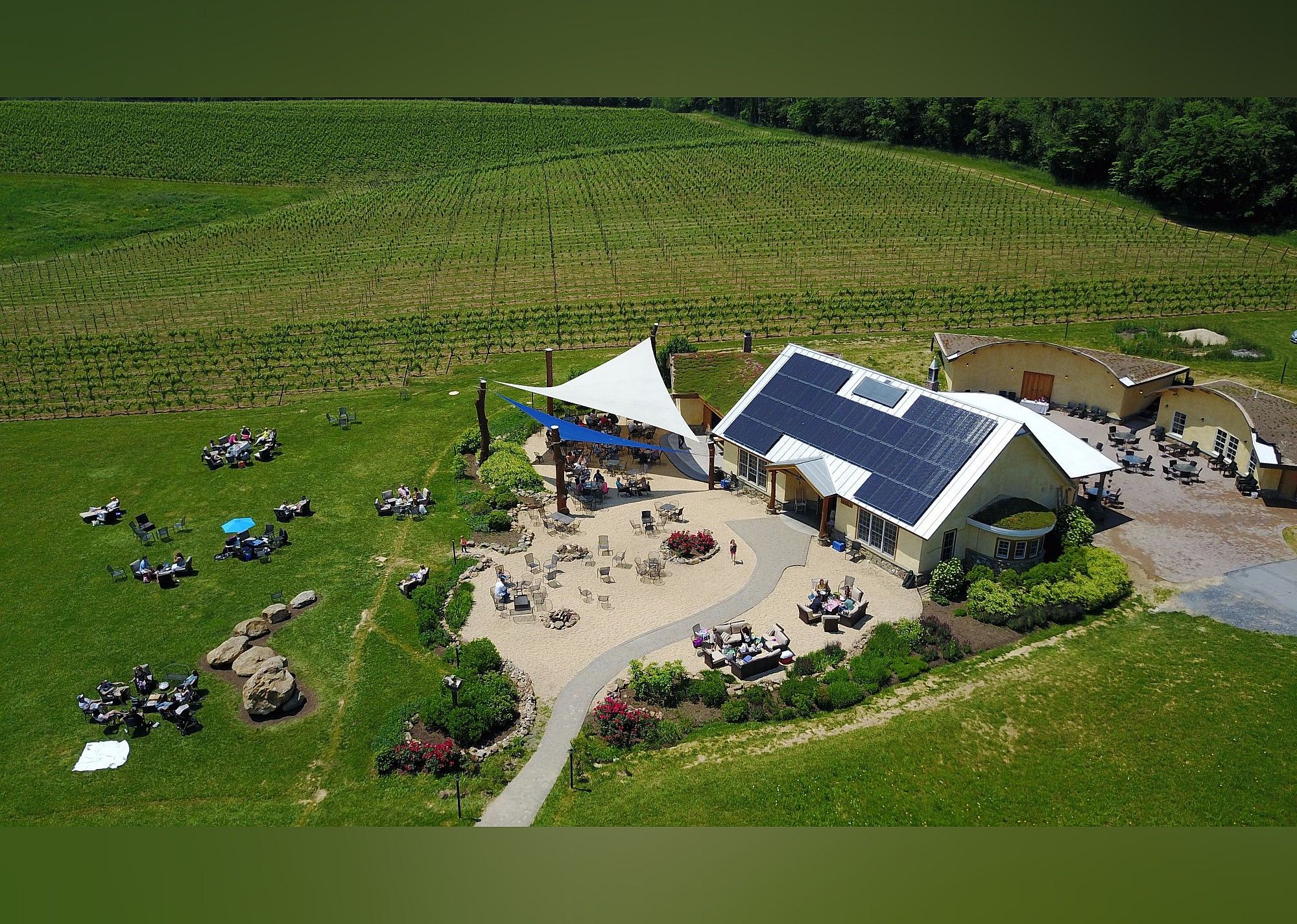 #8. Black Ankle Vineyards