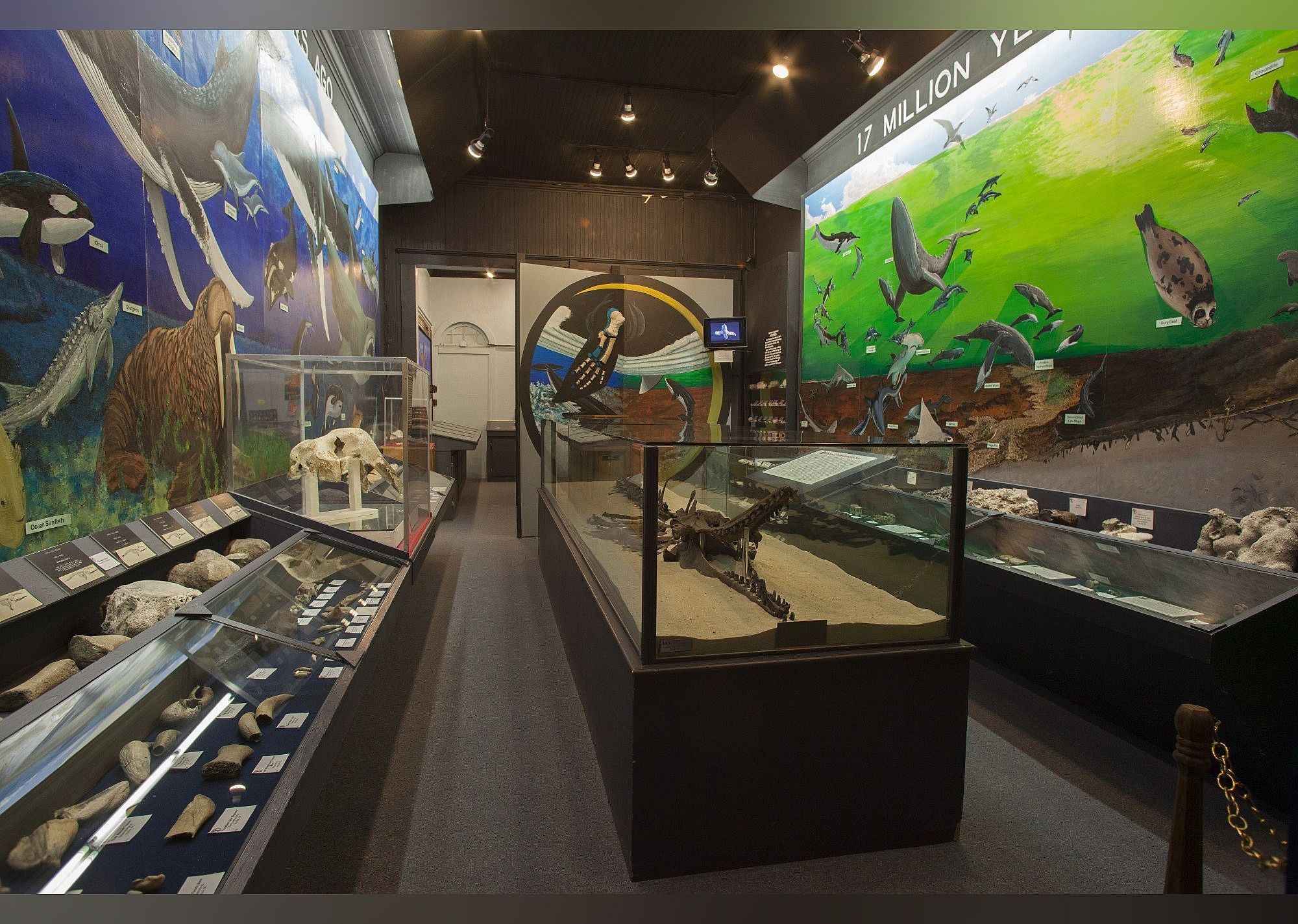 #23. Aurora Fossil Museum