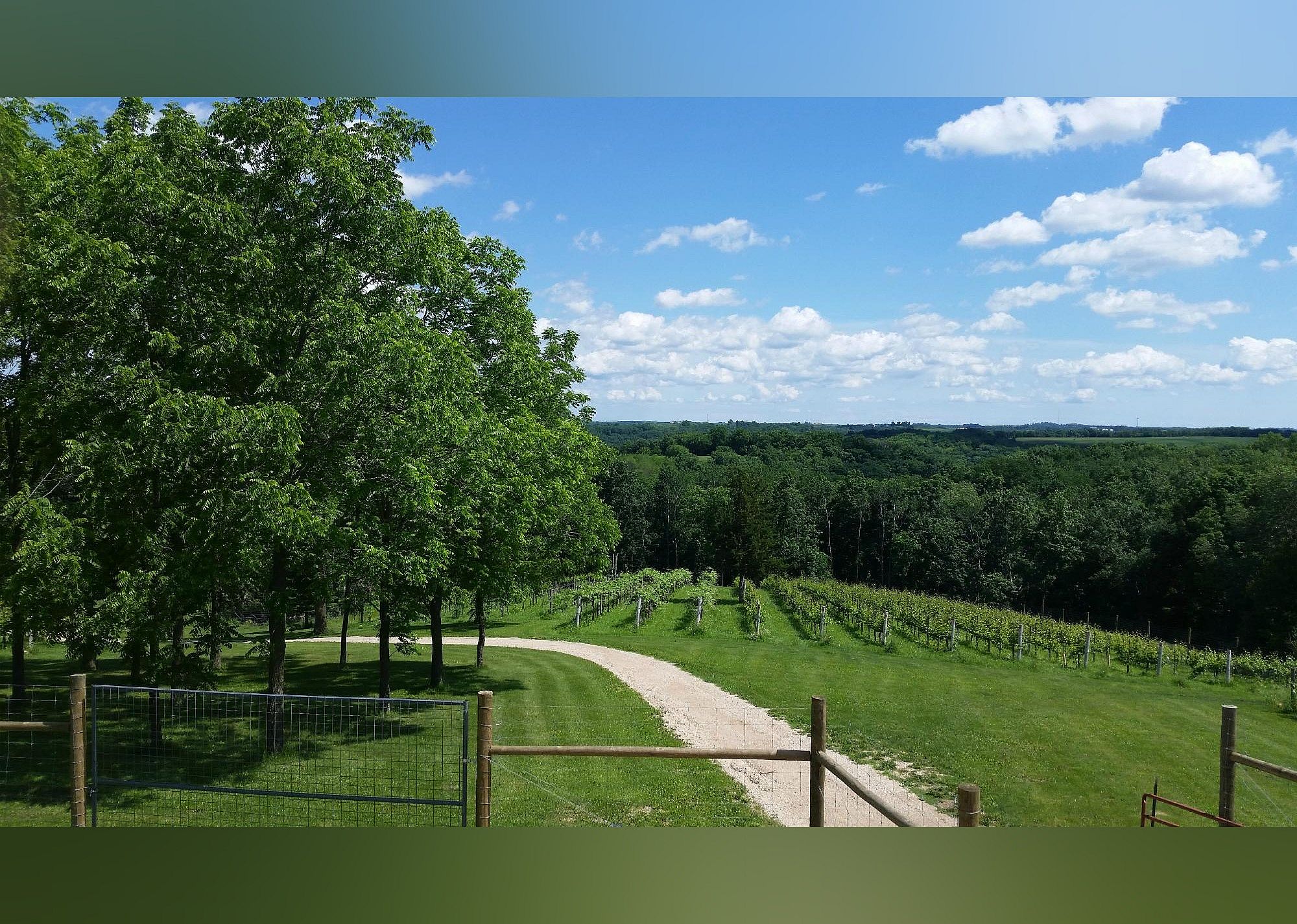 #24. Garvin Heights Vineyards