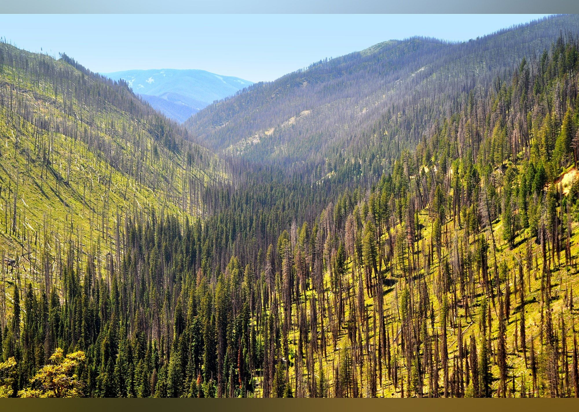#5. The Skalkaho Highway Scenic Byway