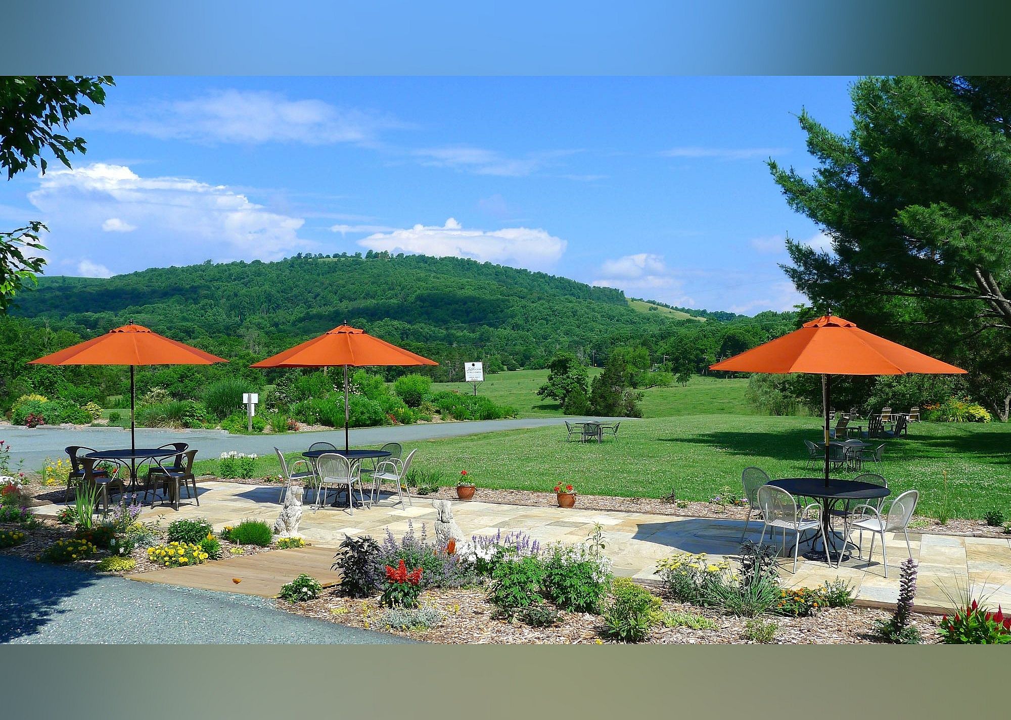 #6. Jefferson Vineyards