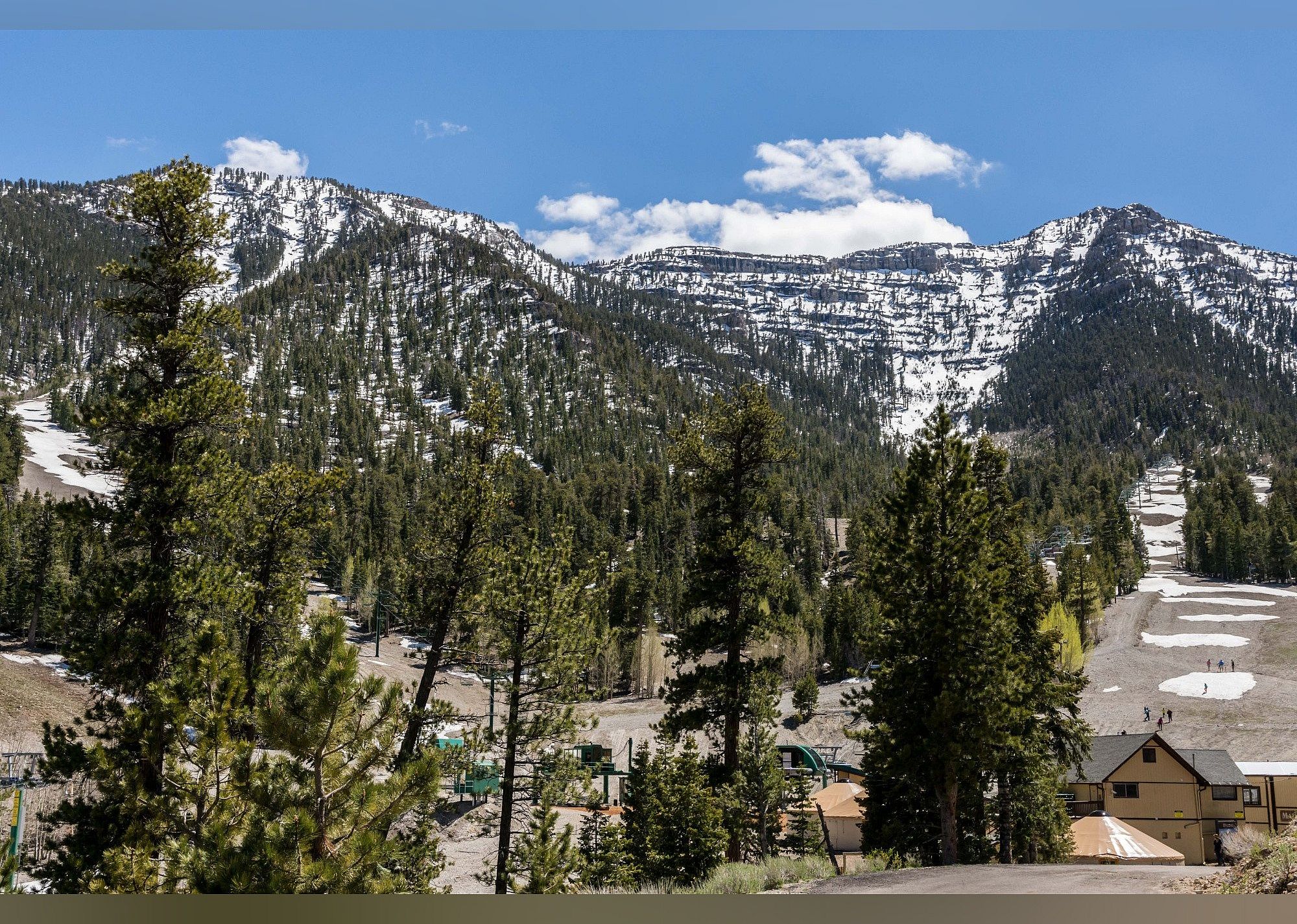 #2. Mt. Charleston Scenic Byway