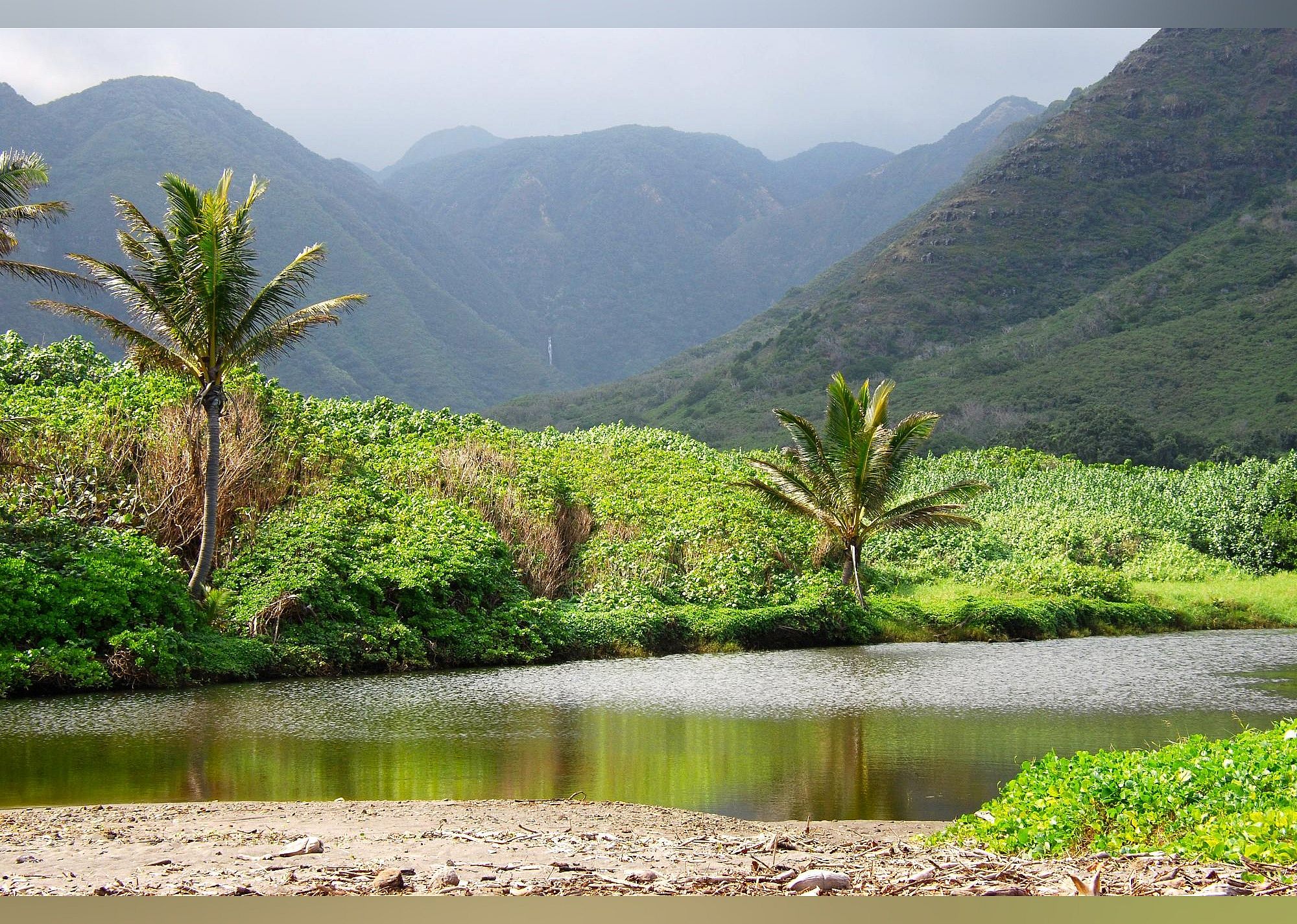#7. Hālawa Valley