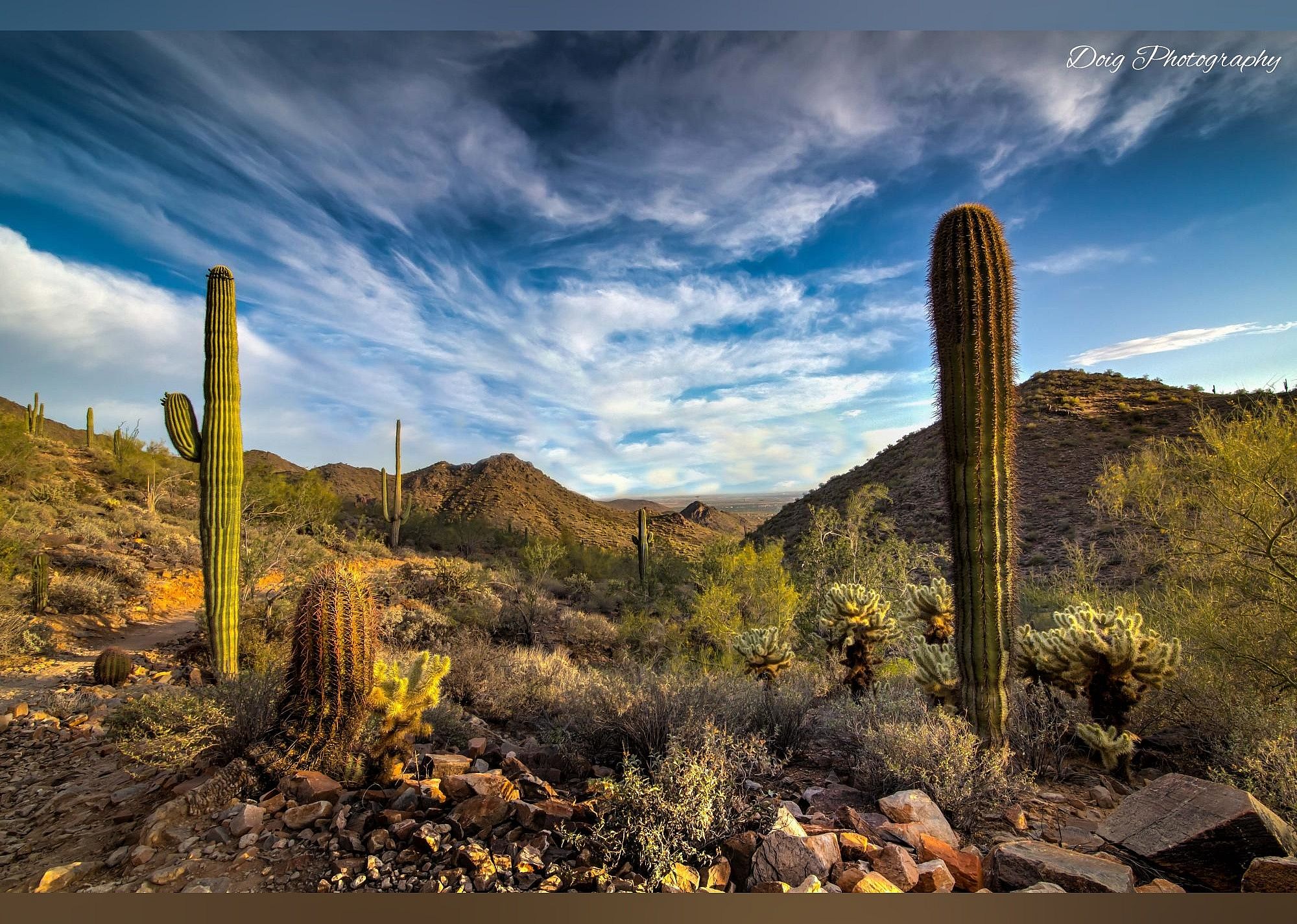 #17. McDowell Sonoran Preserve