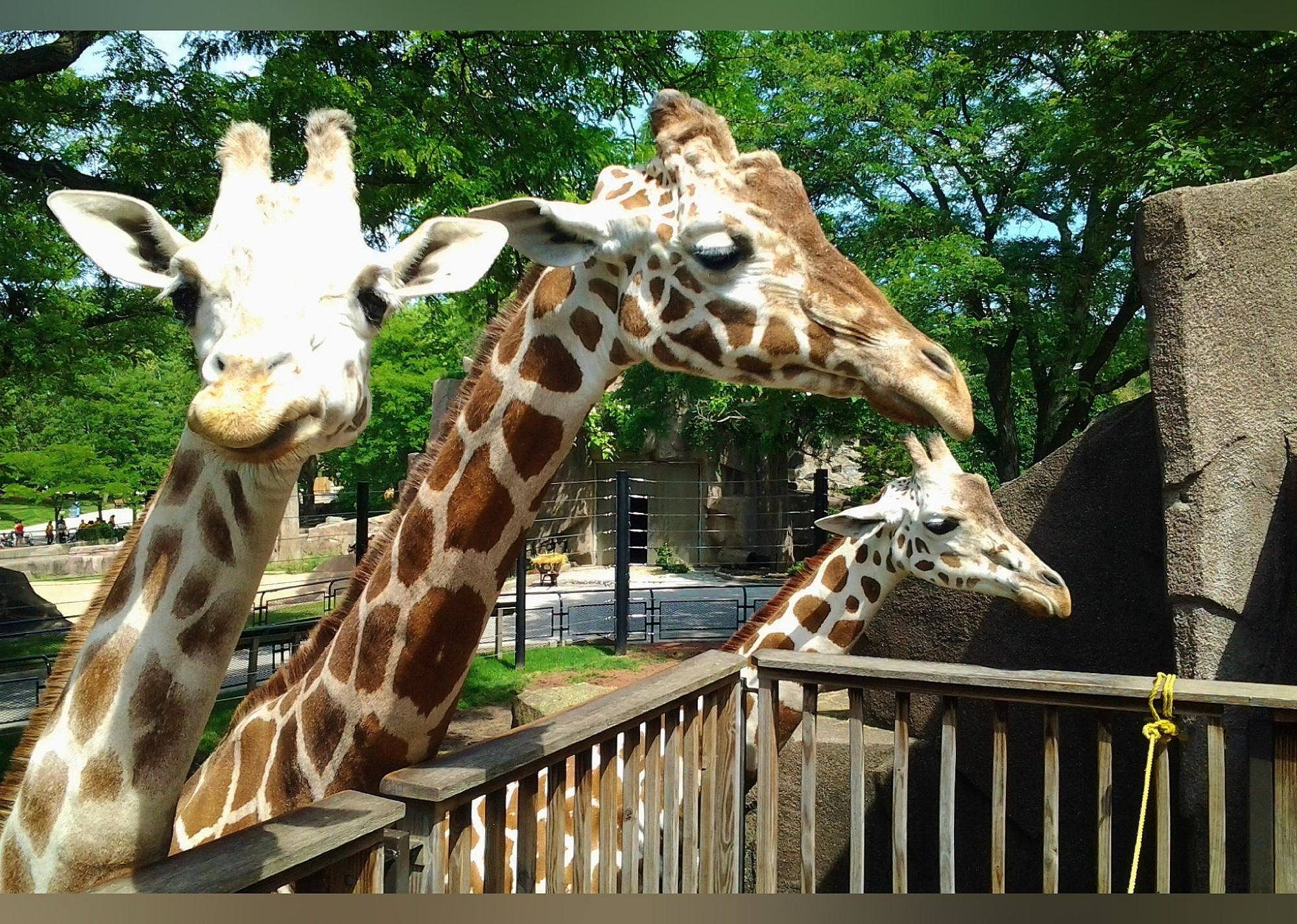 #21. Milwaukee County Zoo