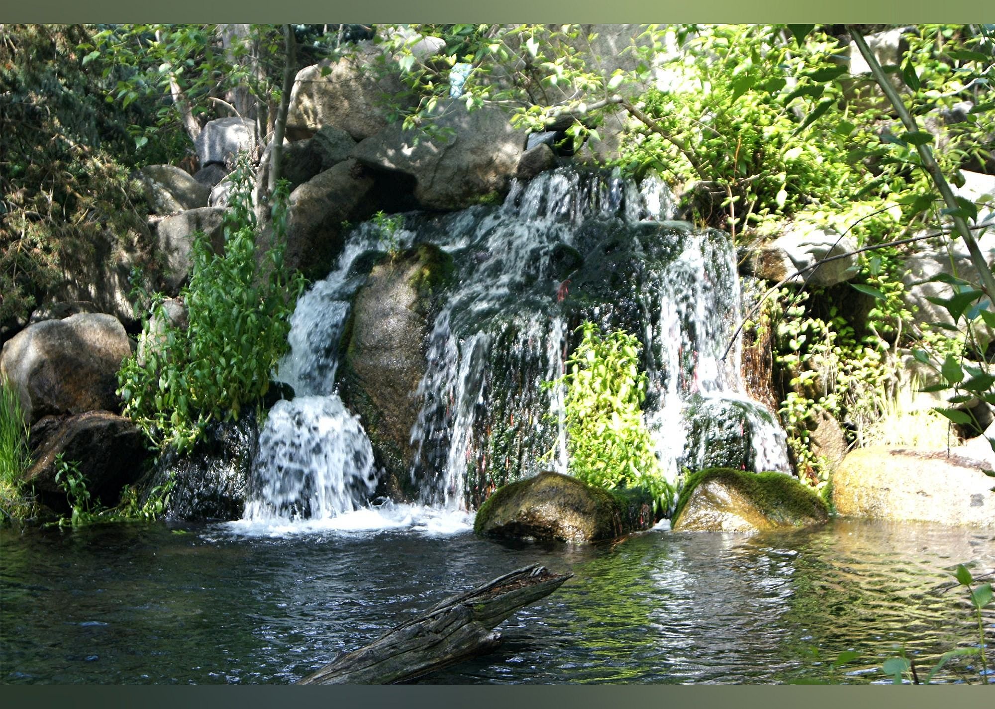 #14. Morrison-Knudsen Nature Center