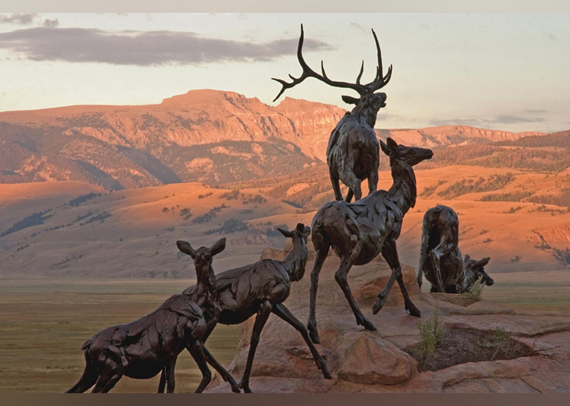 #2. National Museum of Wildlife Art