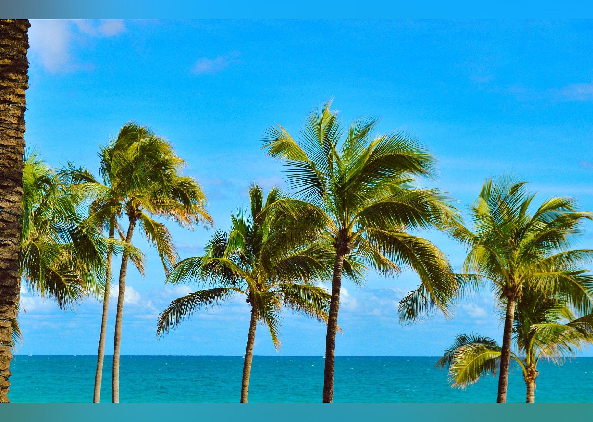 #13. Fort Lauderdale Beach