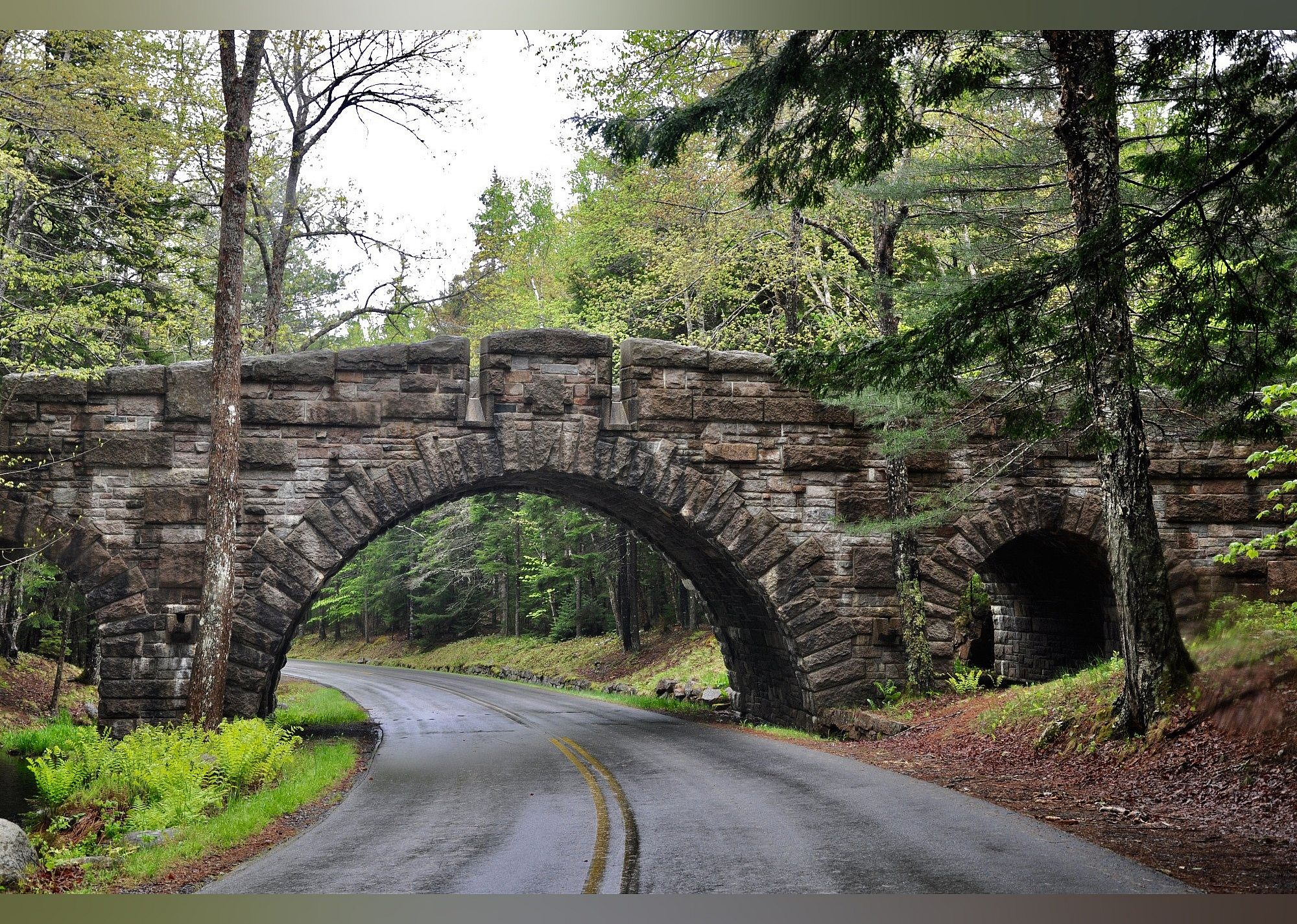 #1. Park Loop Road