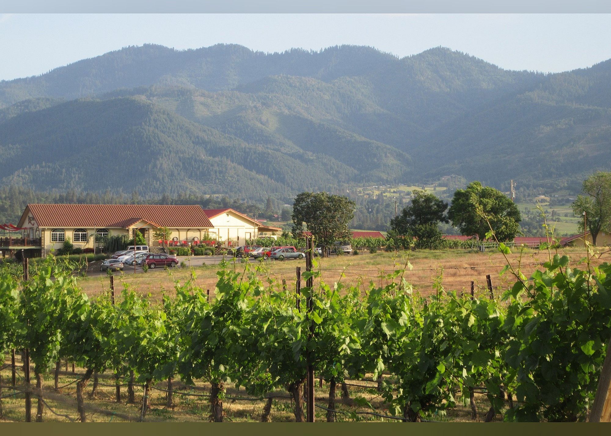 #24. Paschal Winery