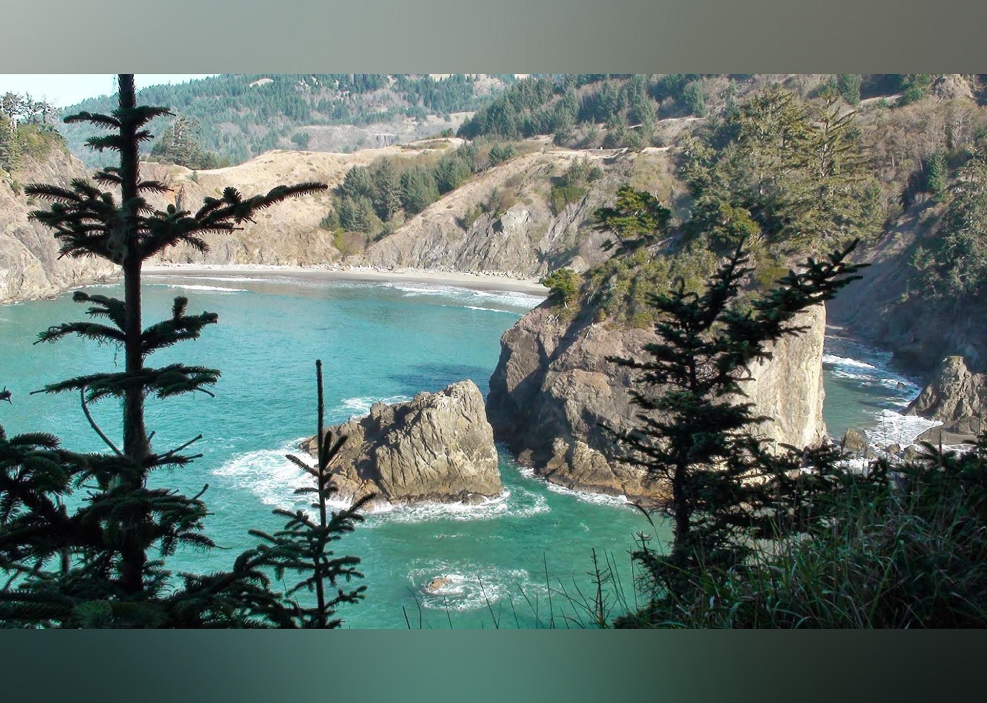 #8. Redwood Highway