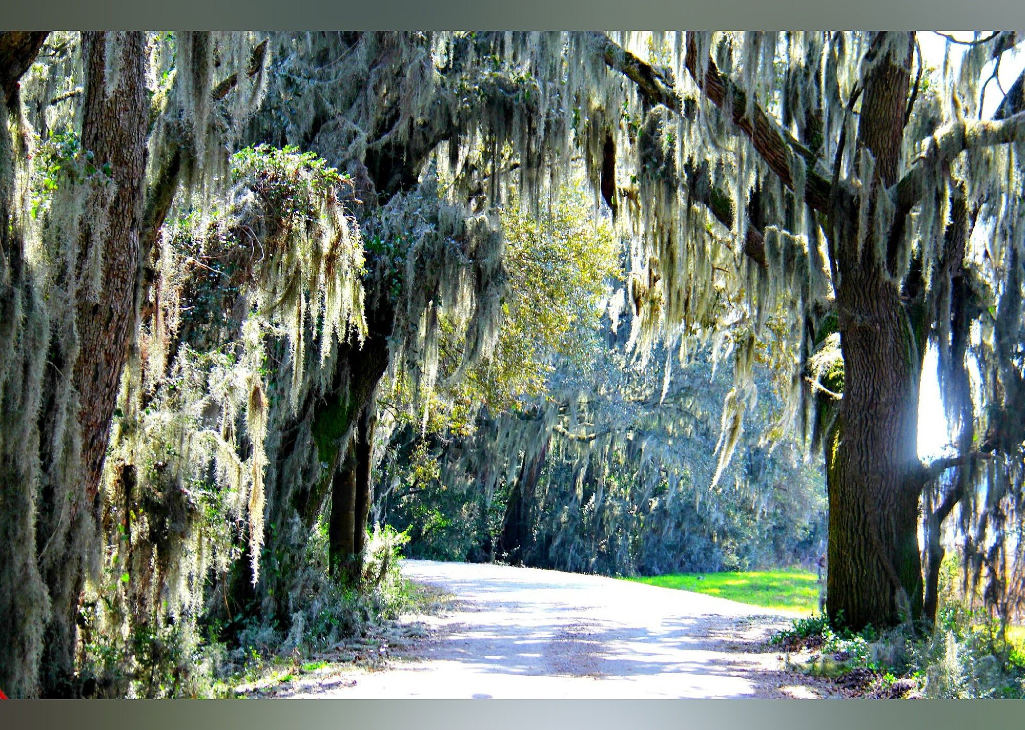 #28. Savannah National Wildlife Refuge