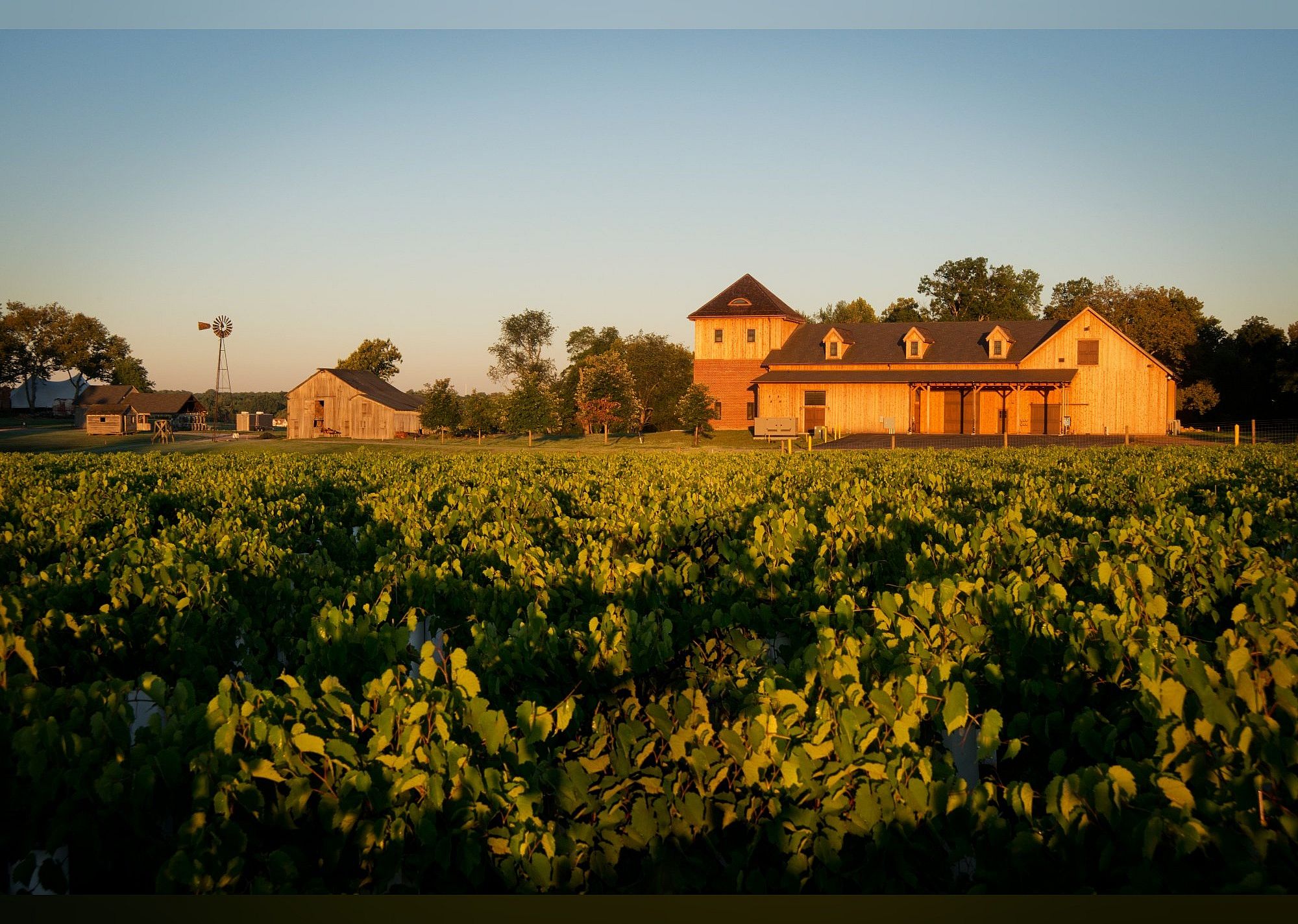 #10. Bohemia Manor Farm