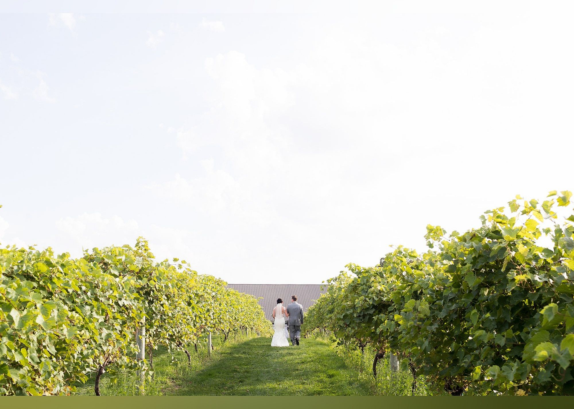 #12. Cannon River Winery