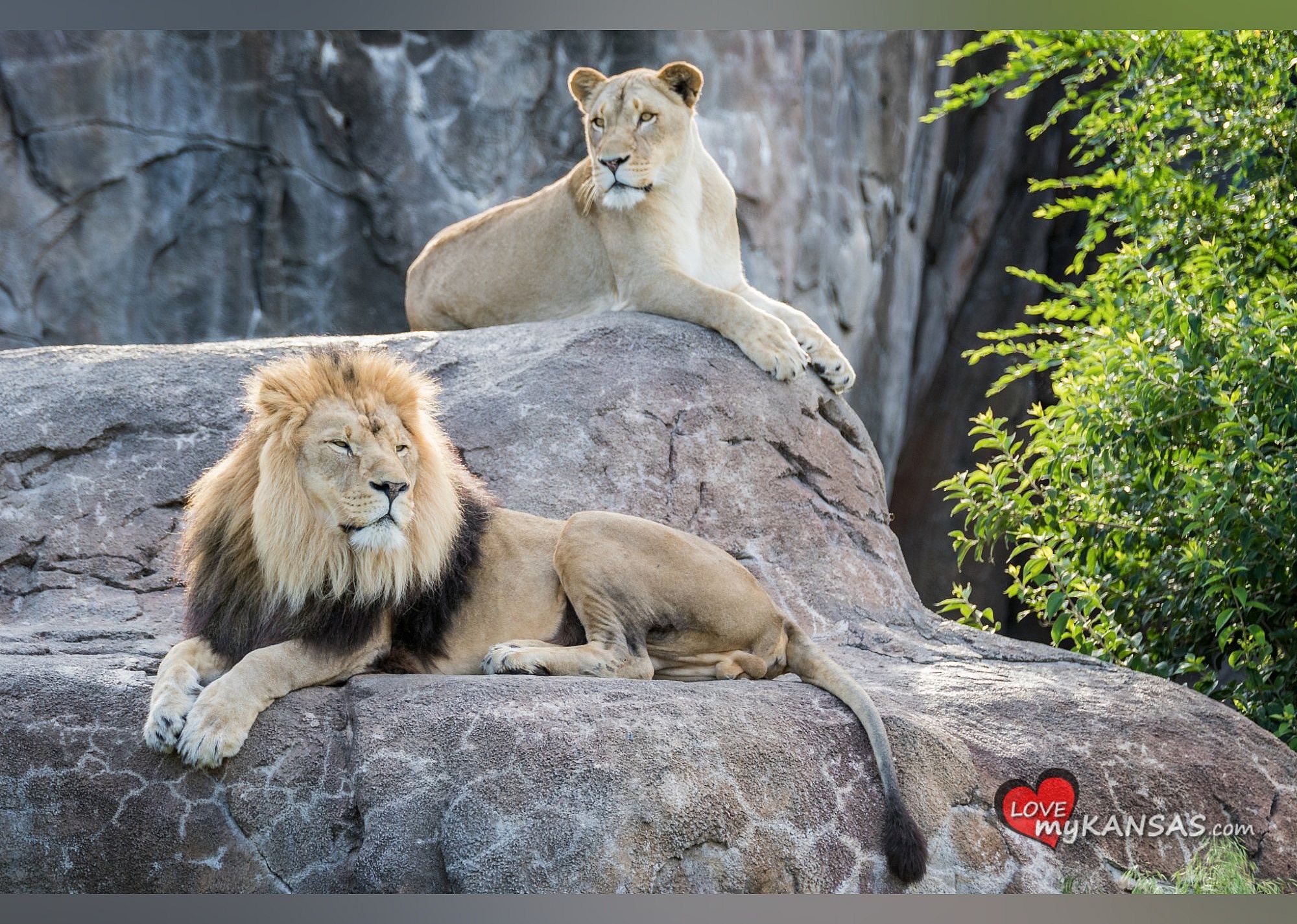 #5. Sedgwick County Zoo
