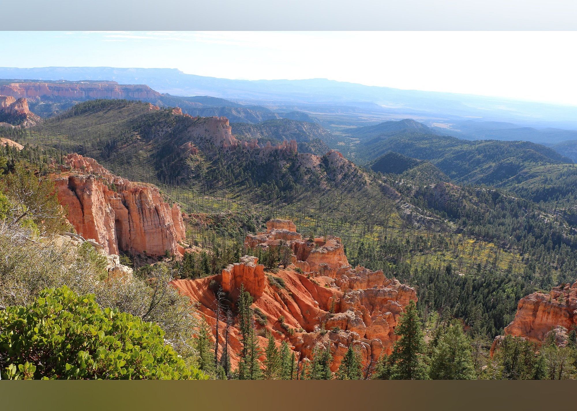 #20. Farview Point